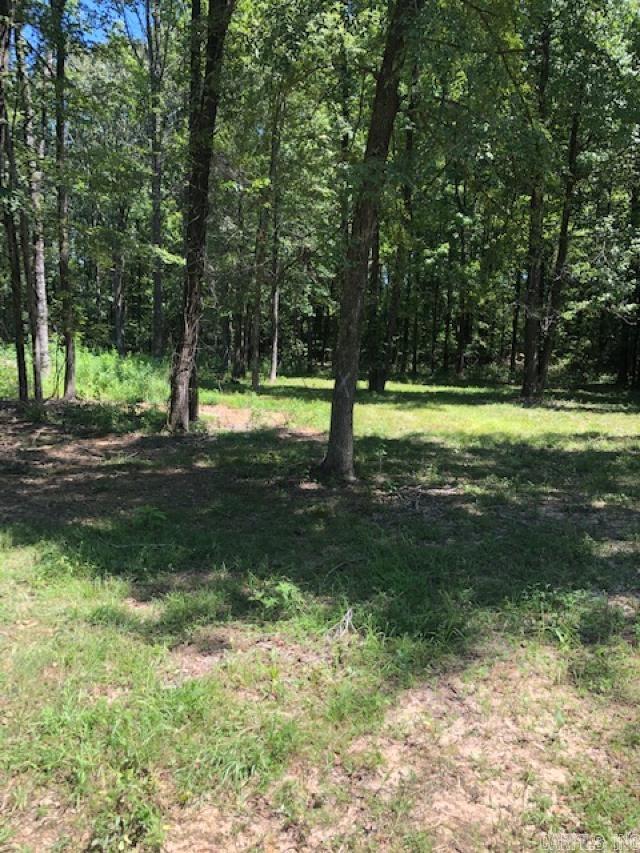 3005  Purcell  Paragould, AR