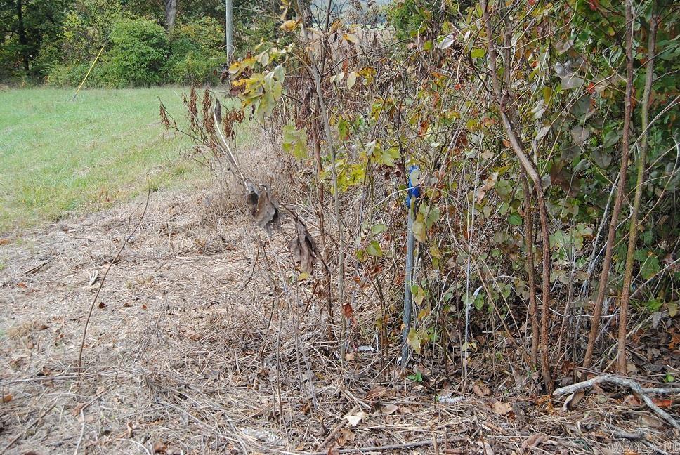 7457 South Mountain Road Marshall, AR 72650