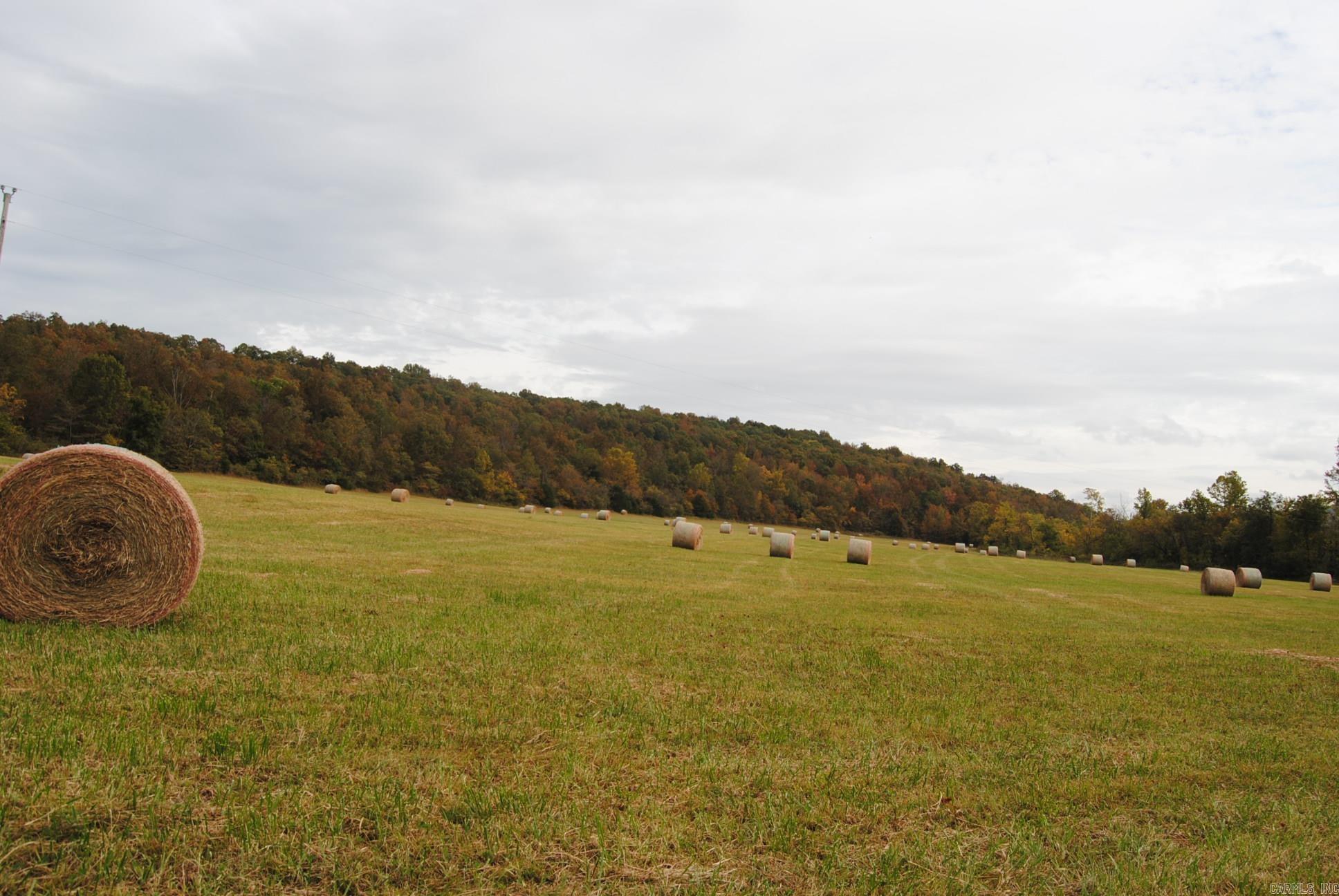7457 South Mountain Road Marshall, AR 72650