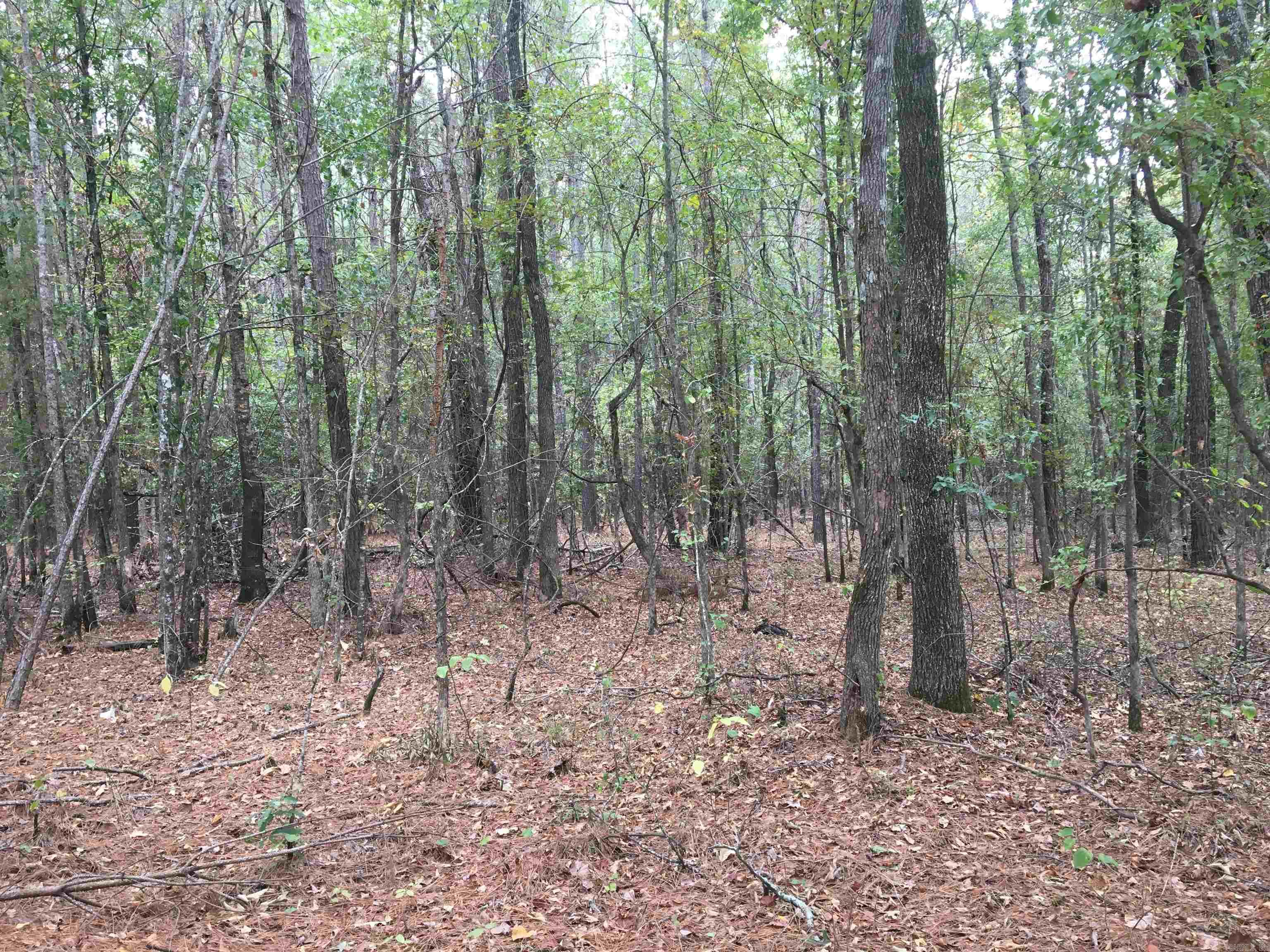 40 Acres  Sulphur Springs Rd  Pine Bluff, AR