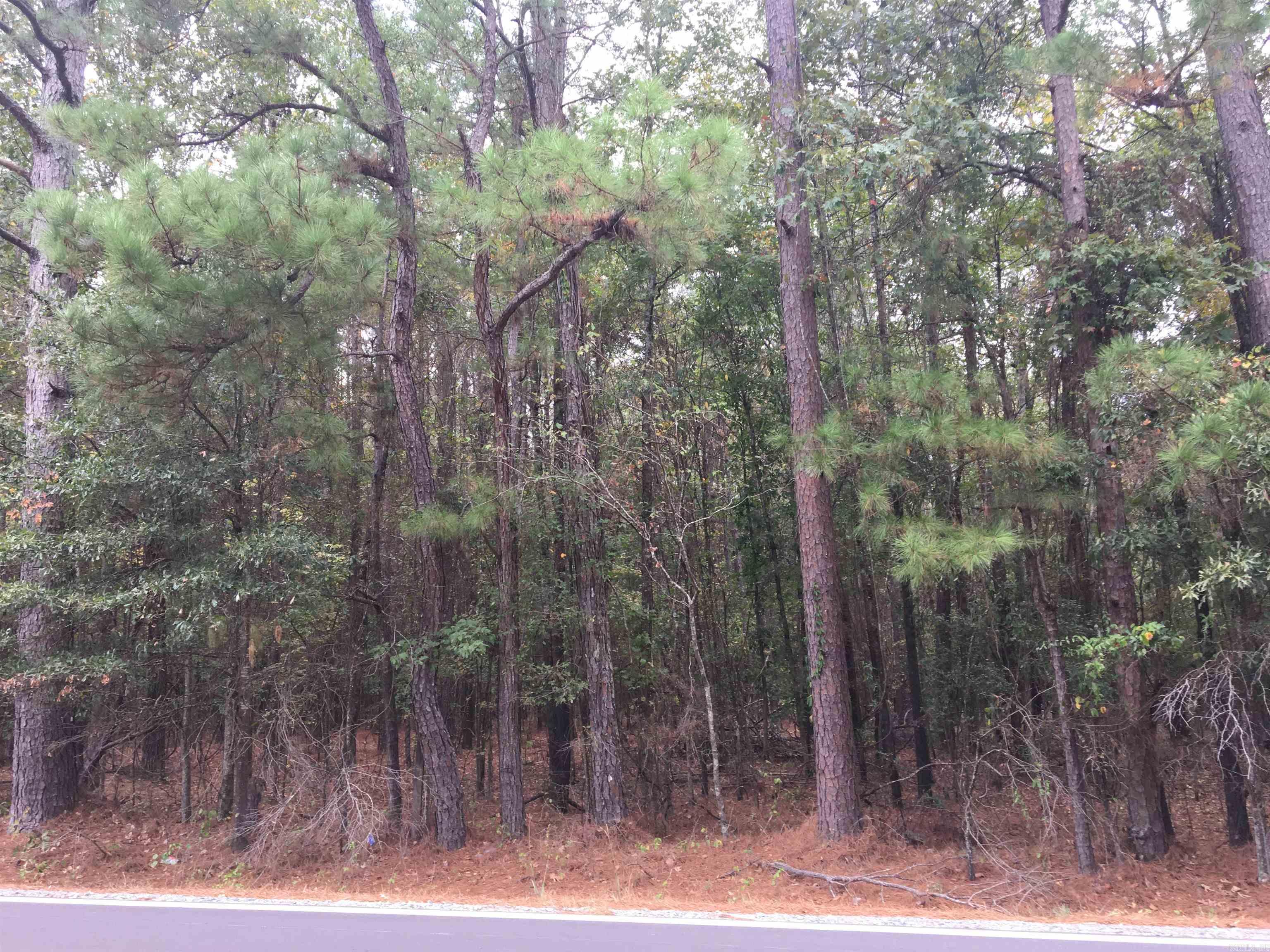 40 Acres  Sulphur Springs Rd  Pine Bluff, AR