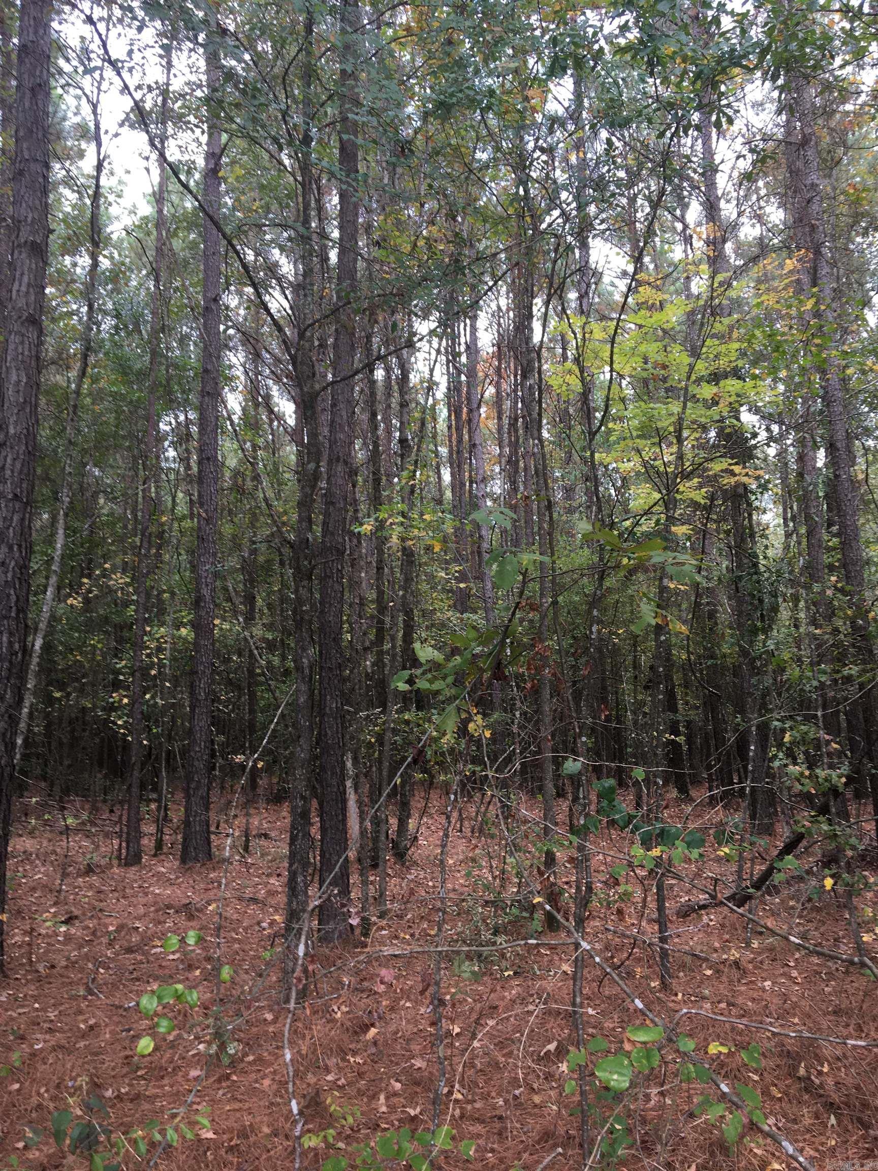 40 Acres  Sulphur Springs Rd  Pine Bluff, AR