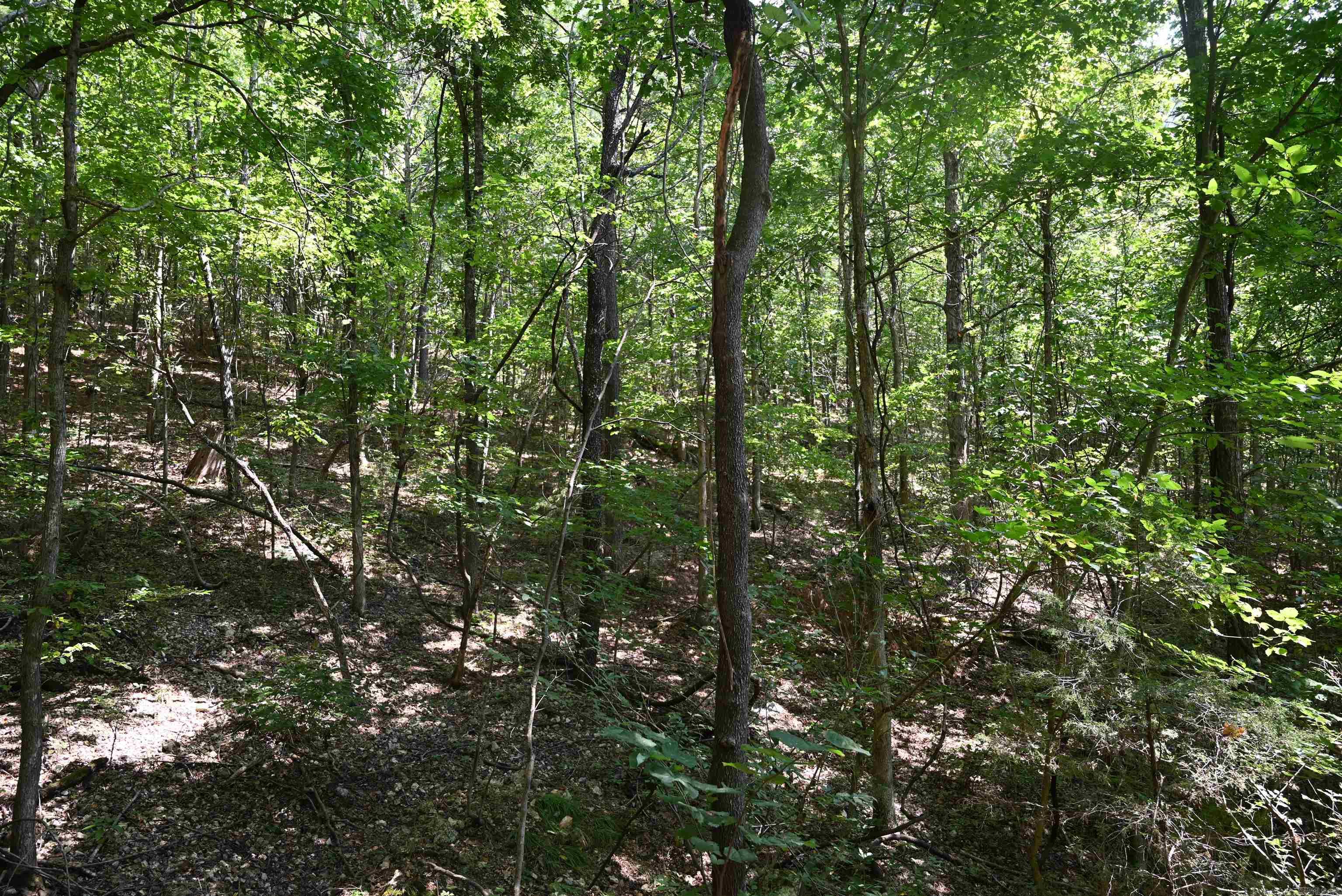 952 WILDWOOD LANE Marshall, AR 72650