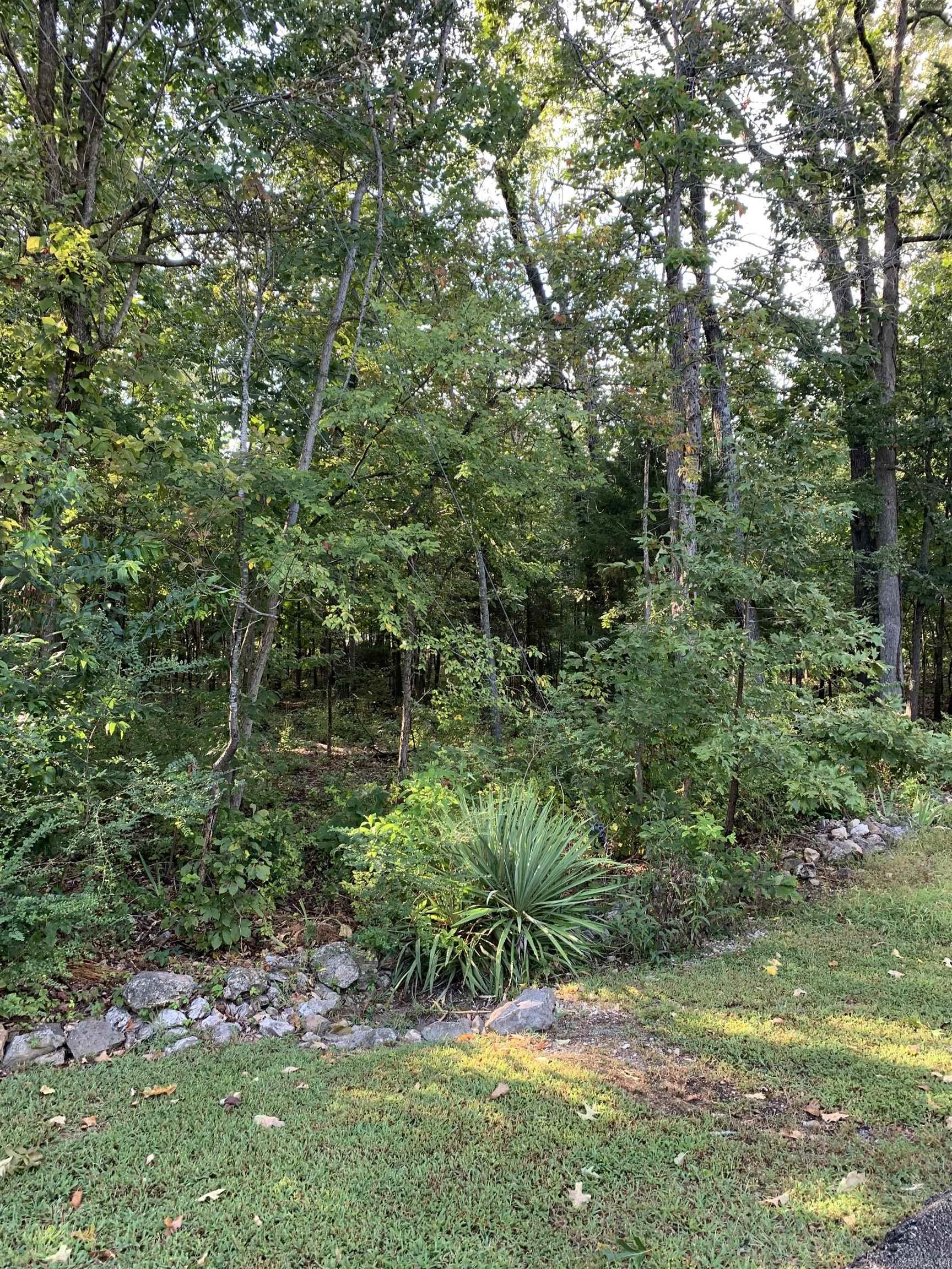 Pt 25 & 26  White River  Bull Shoals, AR