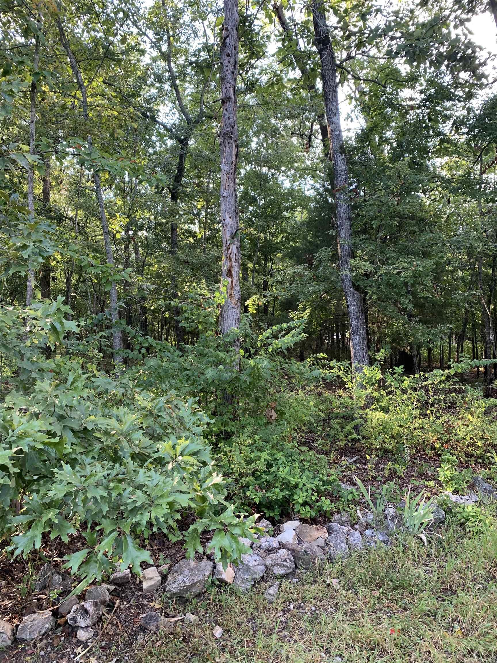 Pt 25 & 26  White River  Bull Shoals, AR