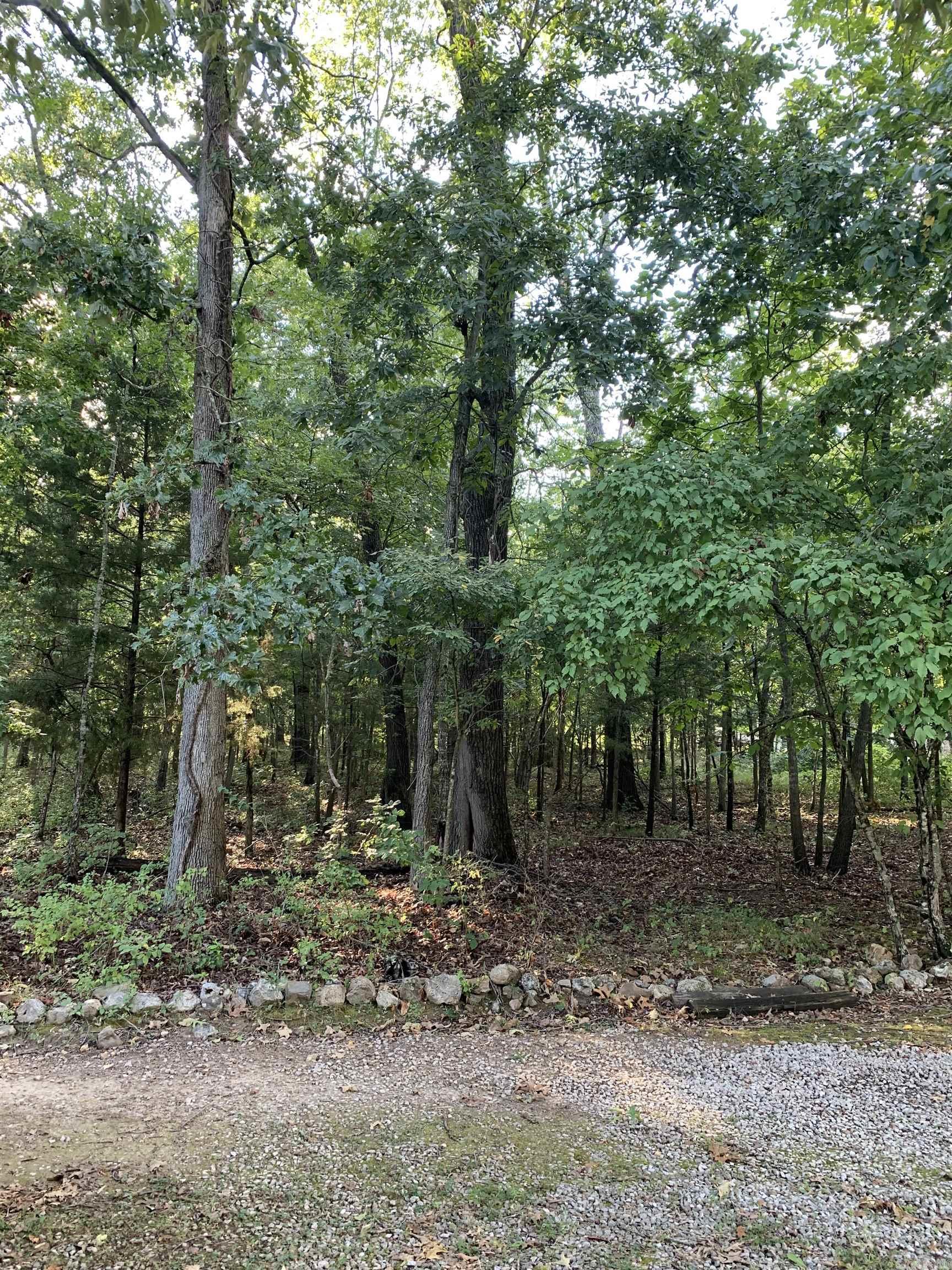 Pt 25 & 26  White River  Bull Shoals, AR