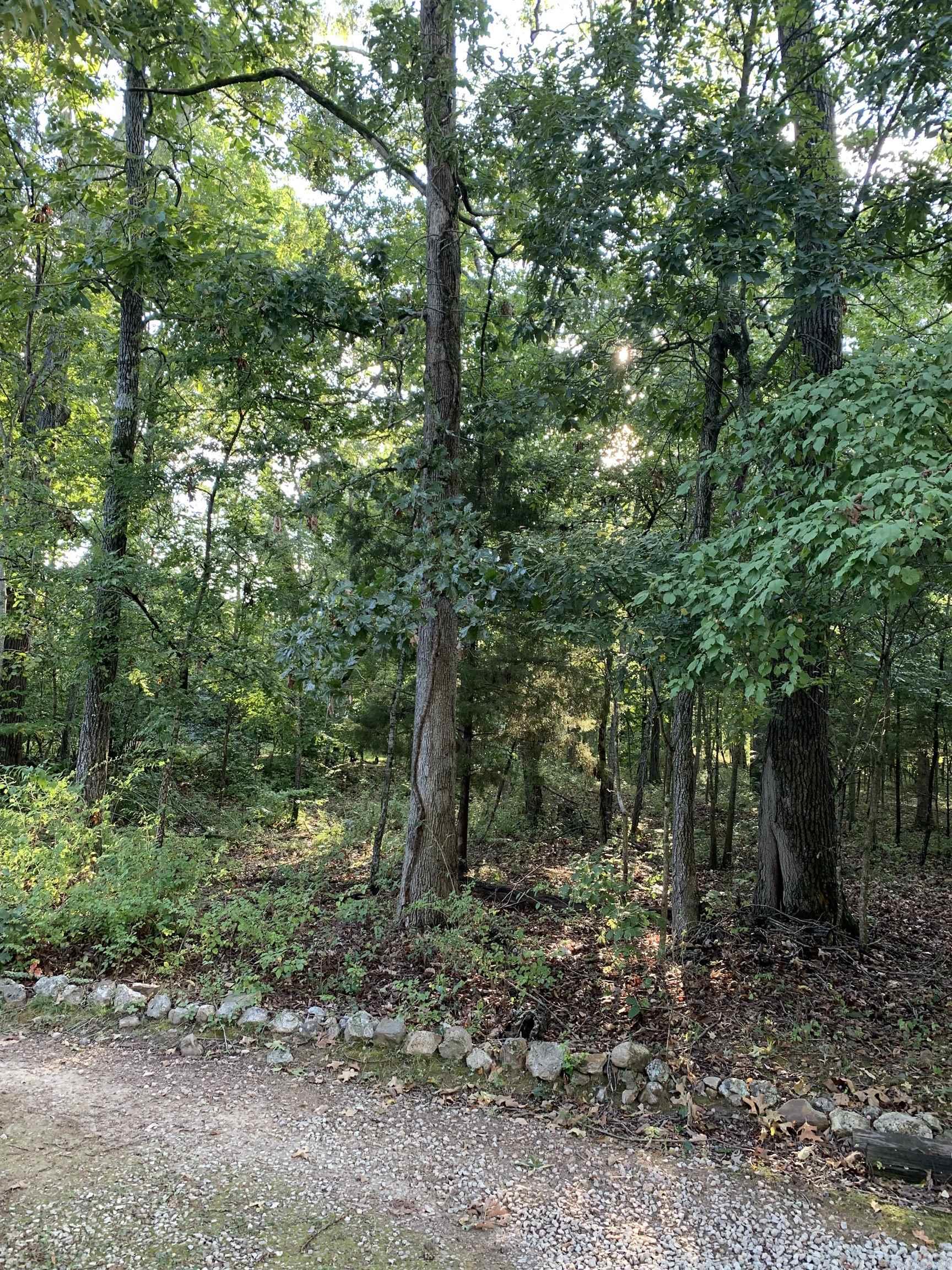 Pt 25 & 26  White River  Bull Shoals, AR