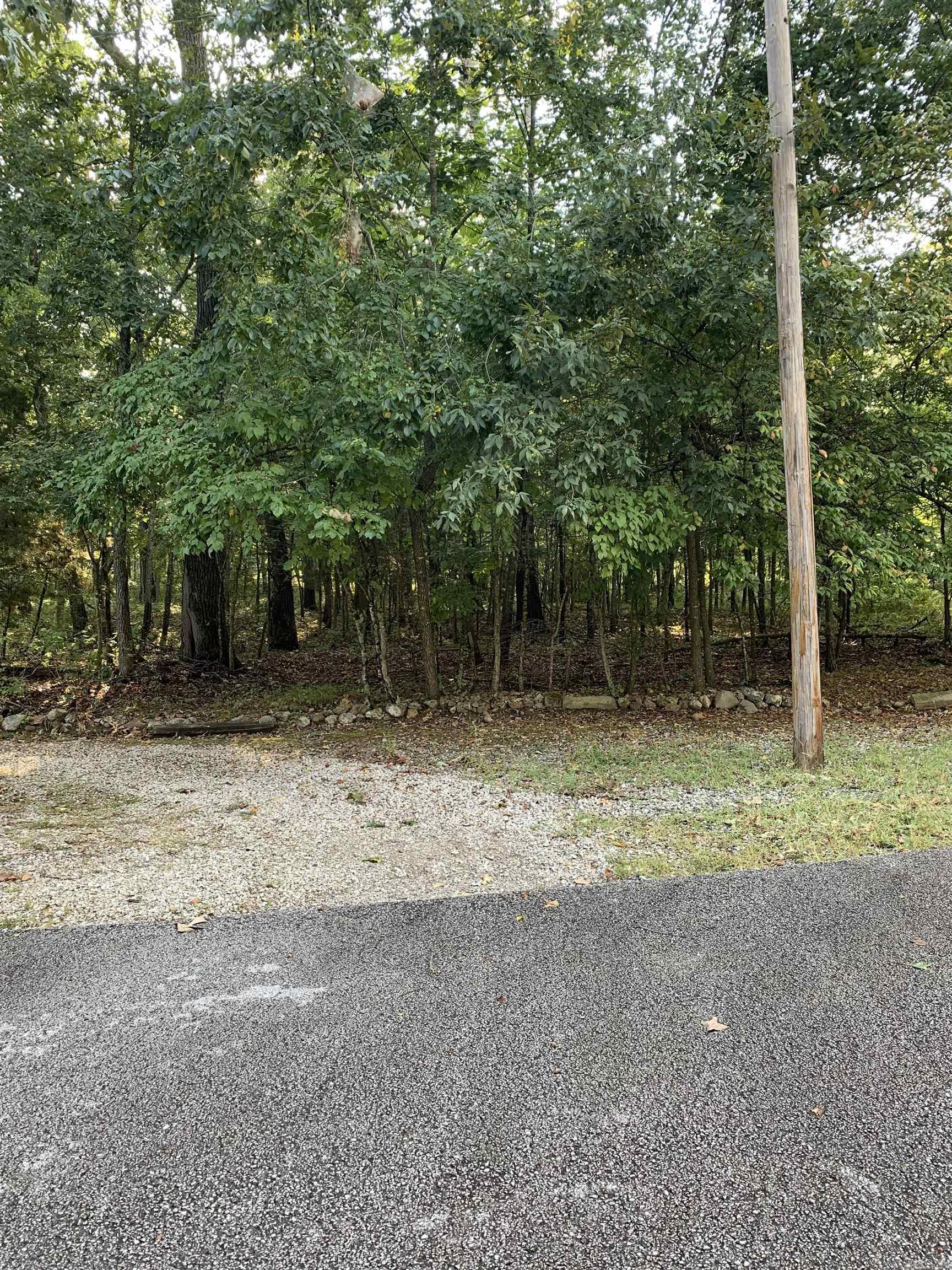 Pt 25 & 26  White River  Bull Shoals, AR