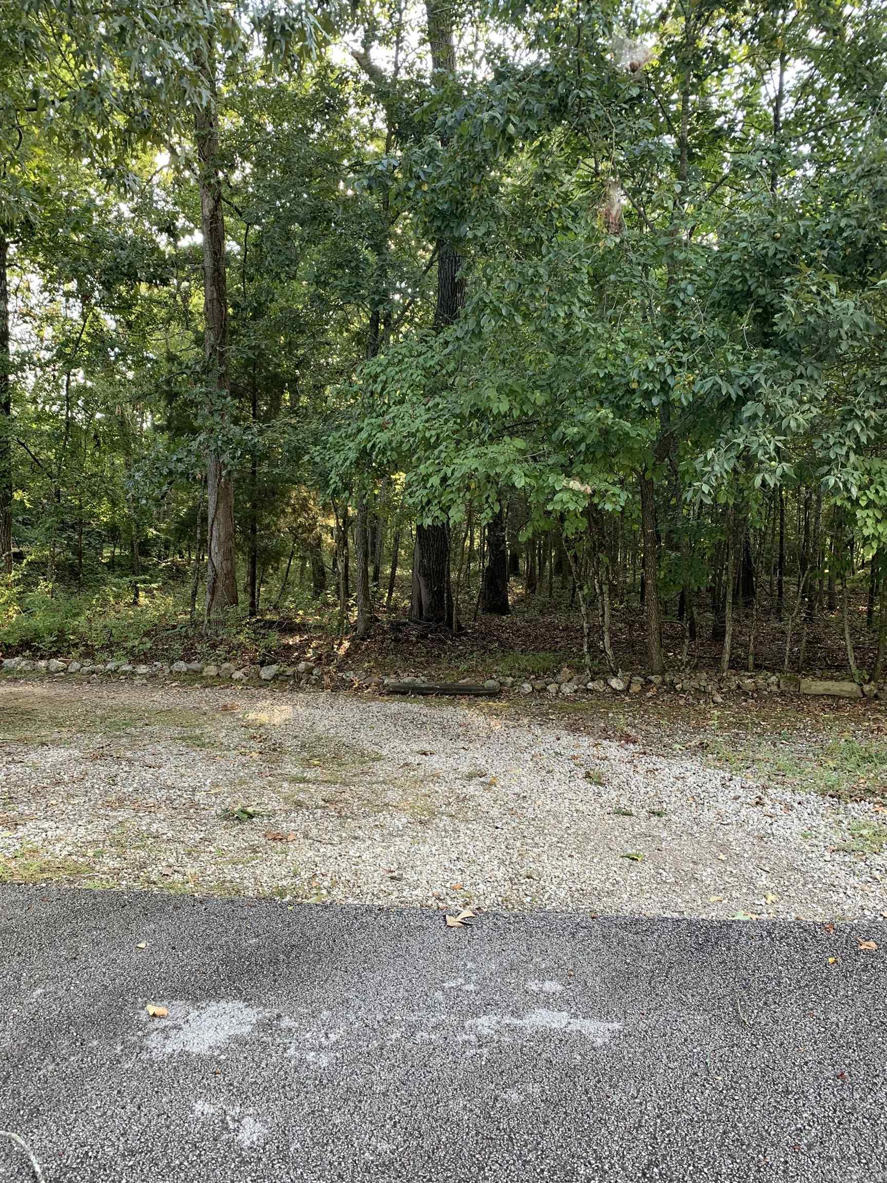 Pt 25 & 26  White River  Bull Shoals, AR