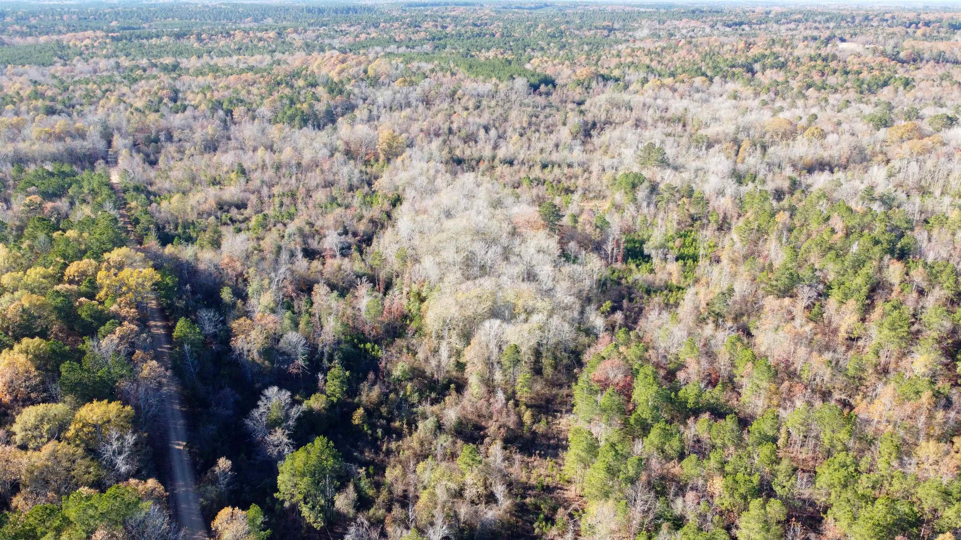 40 acres  Ouachita 82  Camden, AR