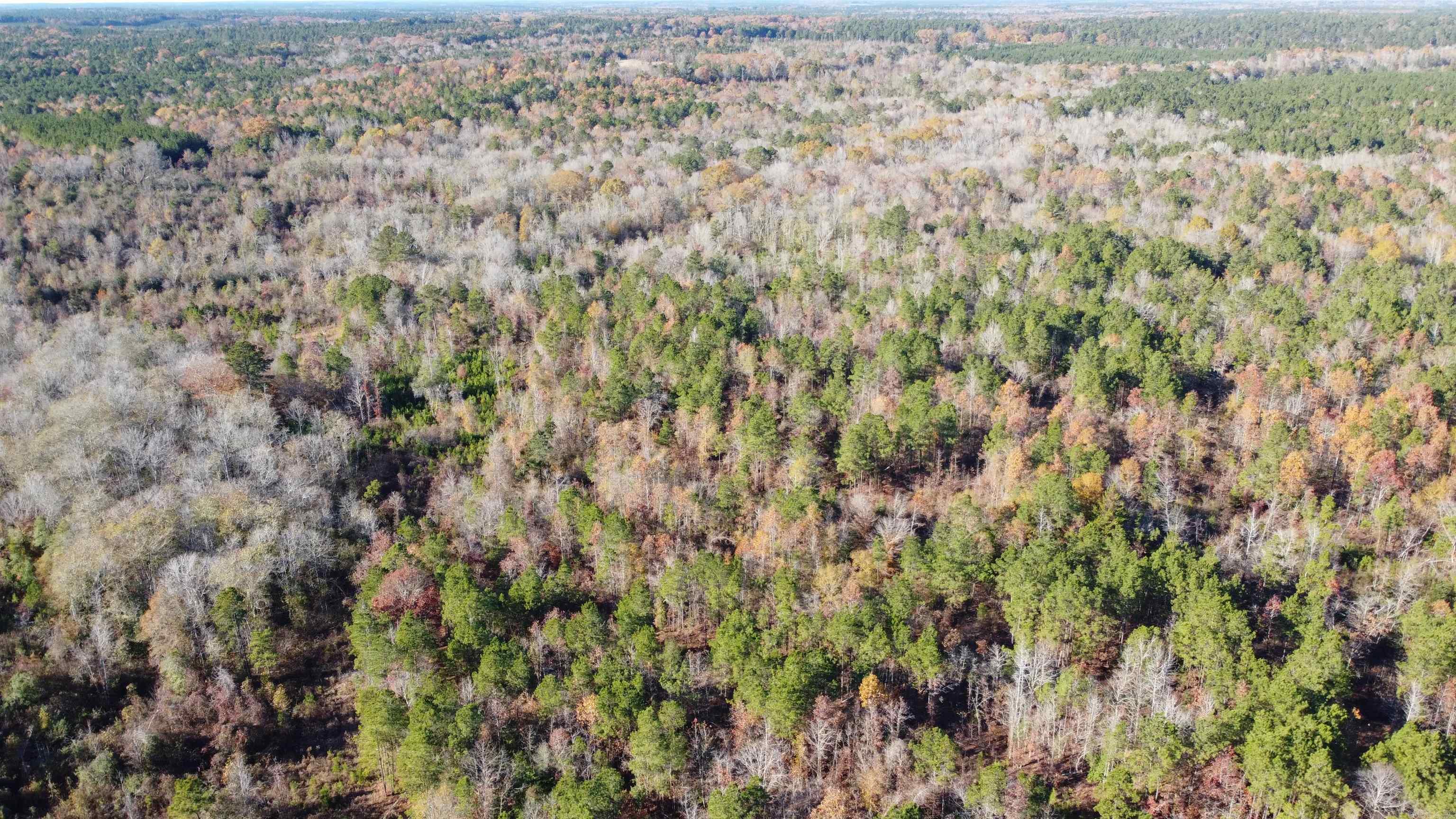 40 acres  Ouachita 82  Camden, AR
