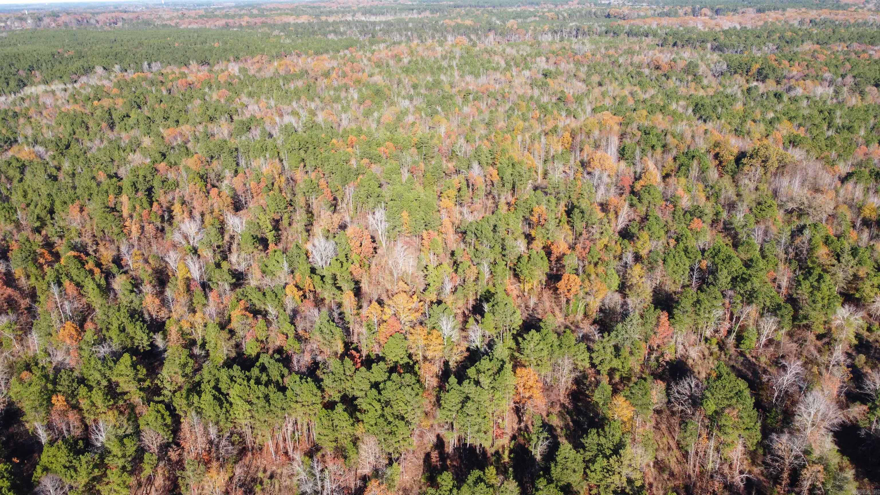 40 acres  Ouachita 82  Camden, AR