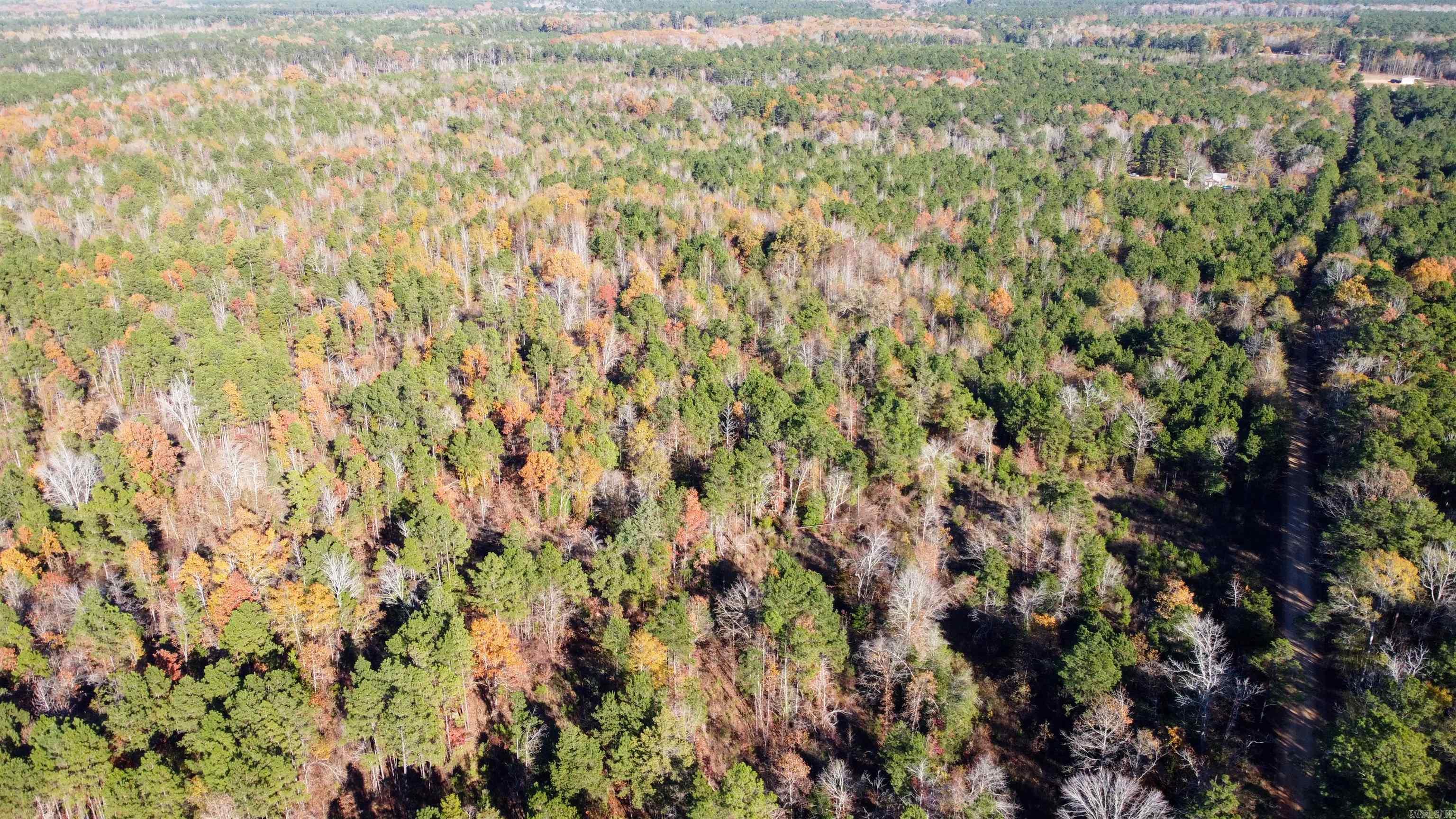 40 acres  Ouachita 82  Camden, AR