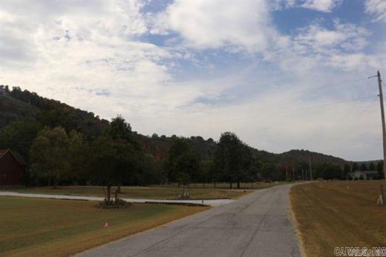 Lot 29 S Riverview  Mountain View, AR