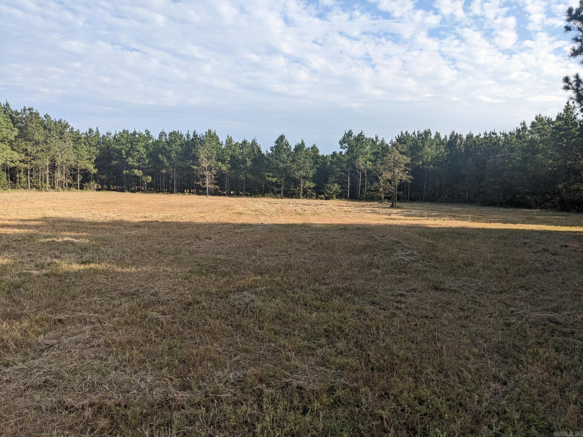 40  Wright  Rison, AR