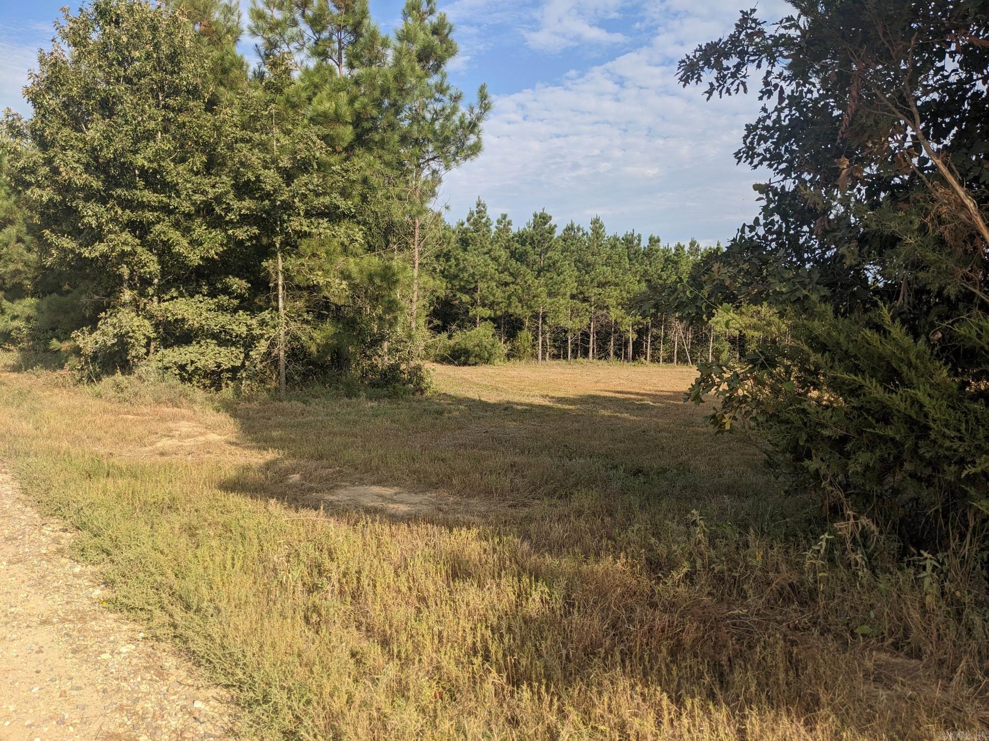 40  Wright  Rison, AR
