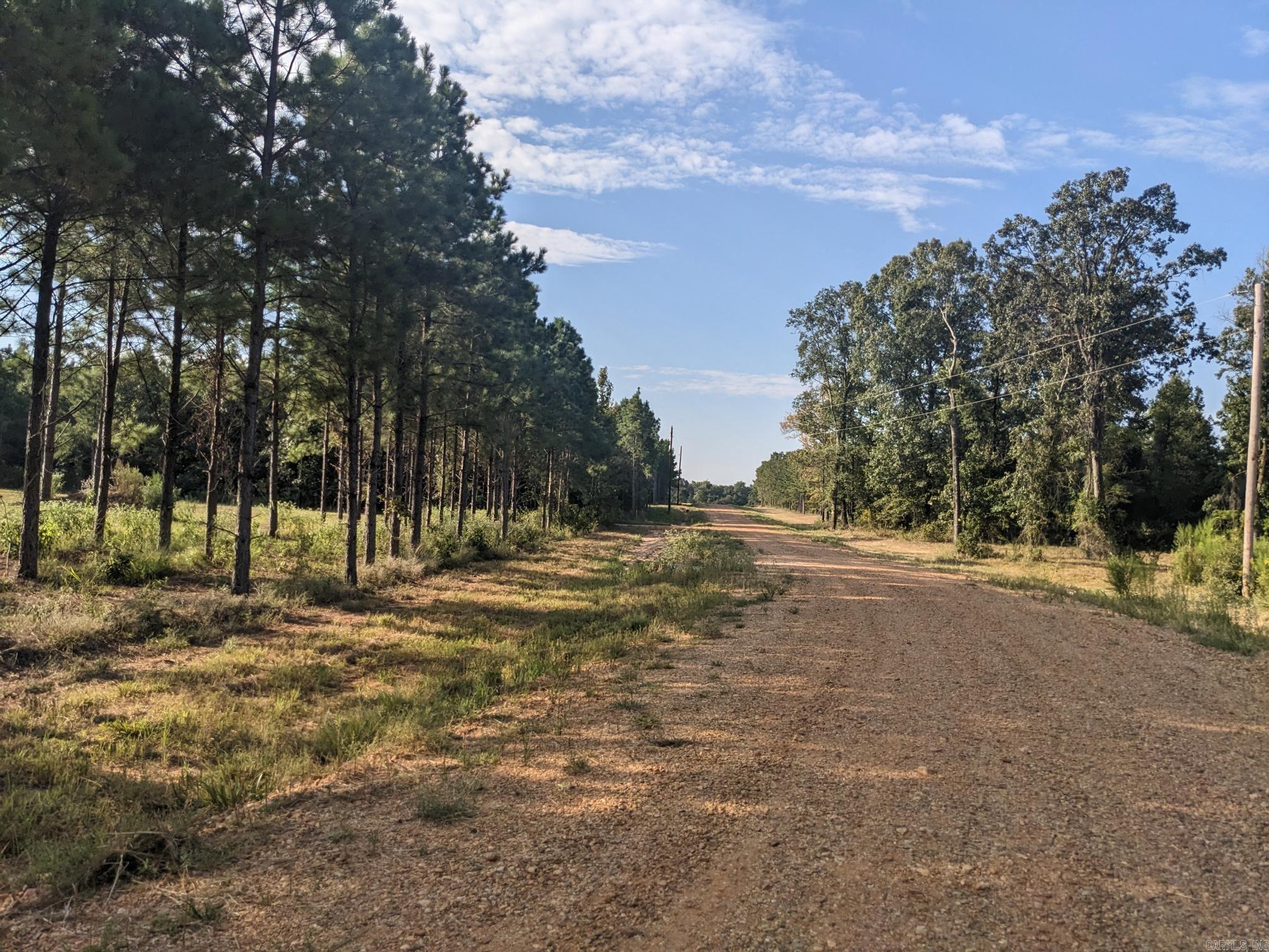 40  Wright  Rison, AR