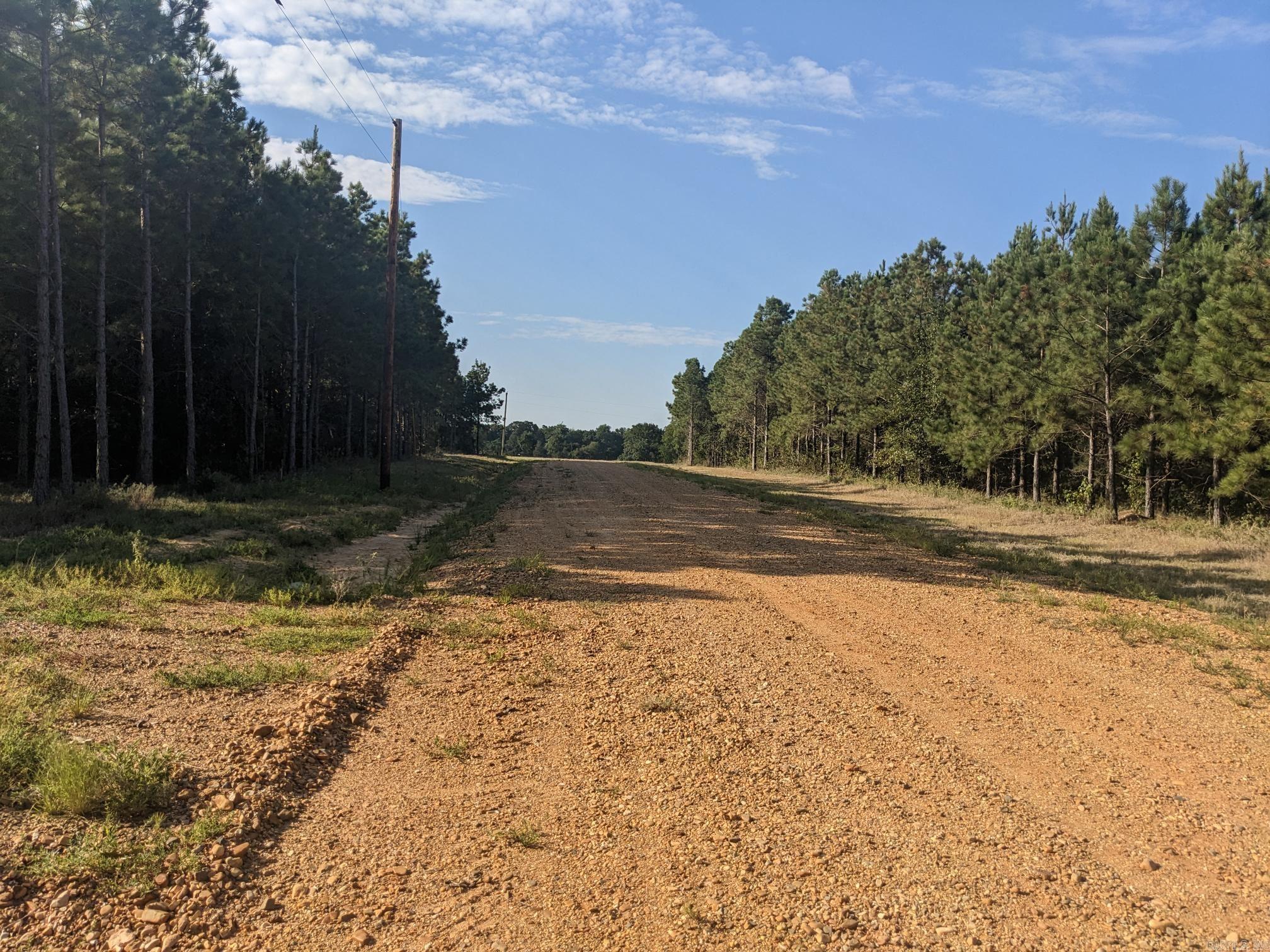 40  Wright  Rison, AR