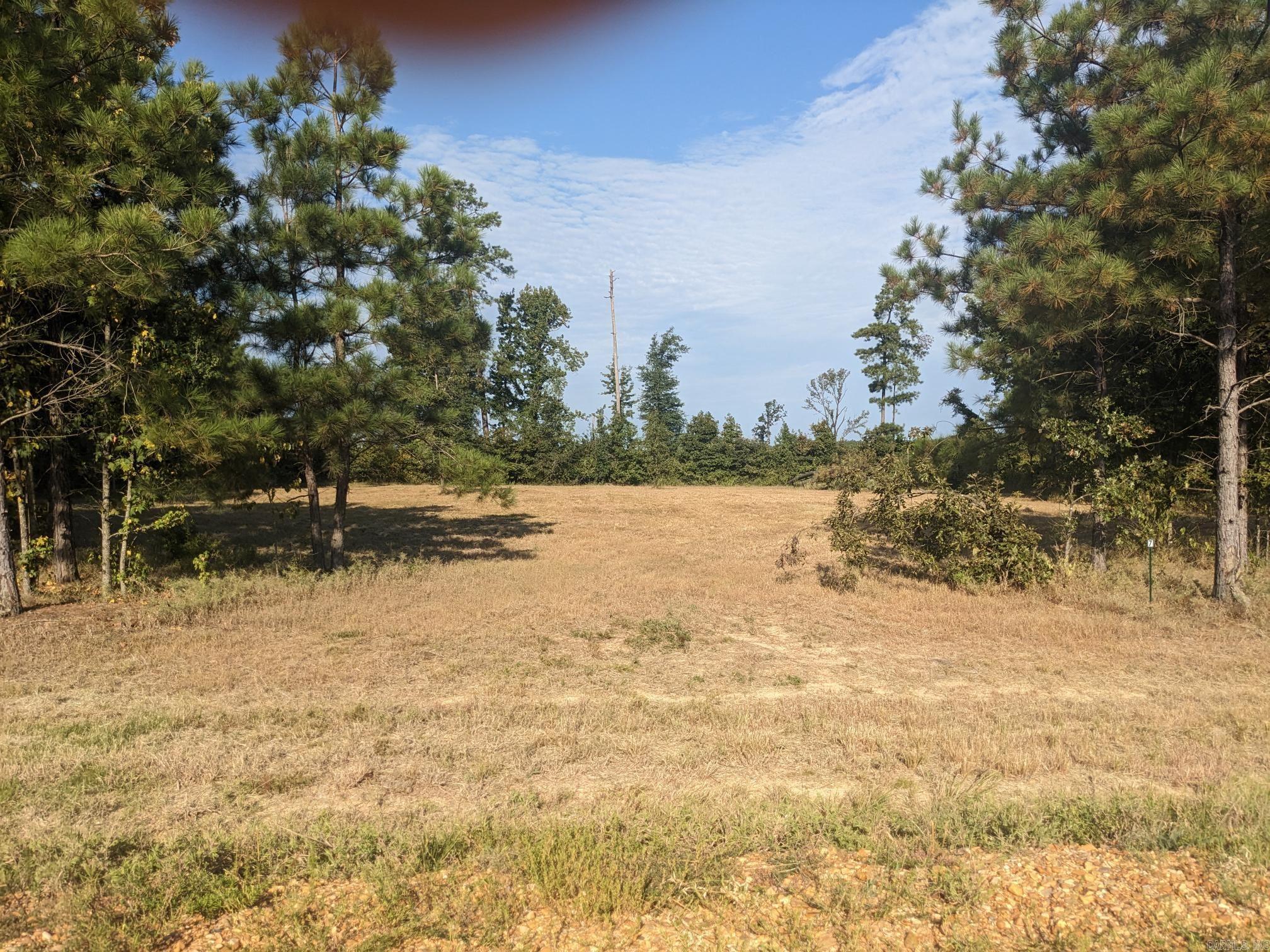 40  Wright  Rison, AR