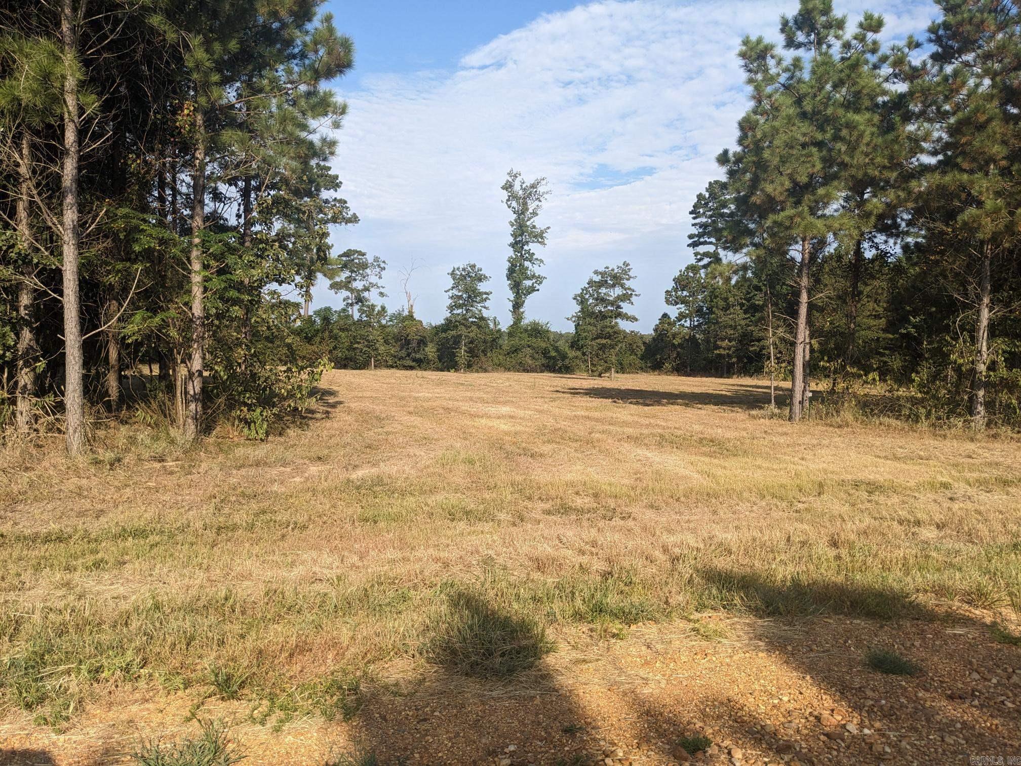 40  Wright  Rison, AR