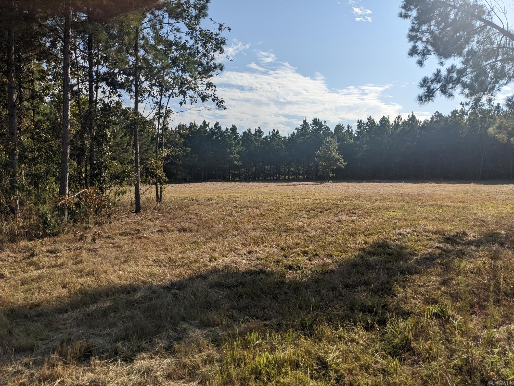 40  Wright  Rison, AR