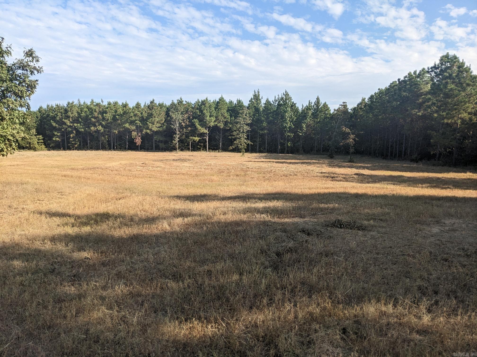 40  Wright  Rison, AR