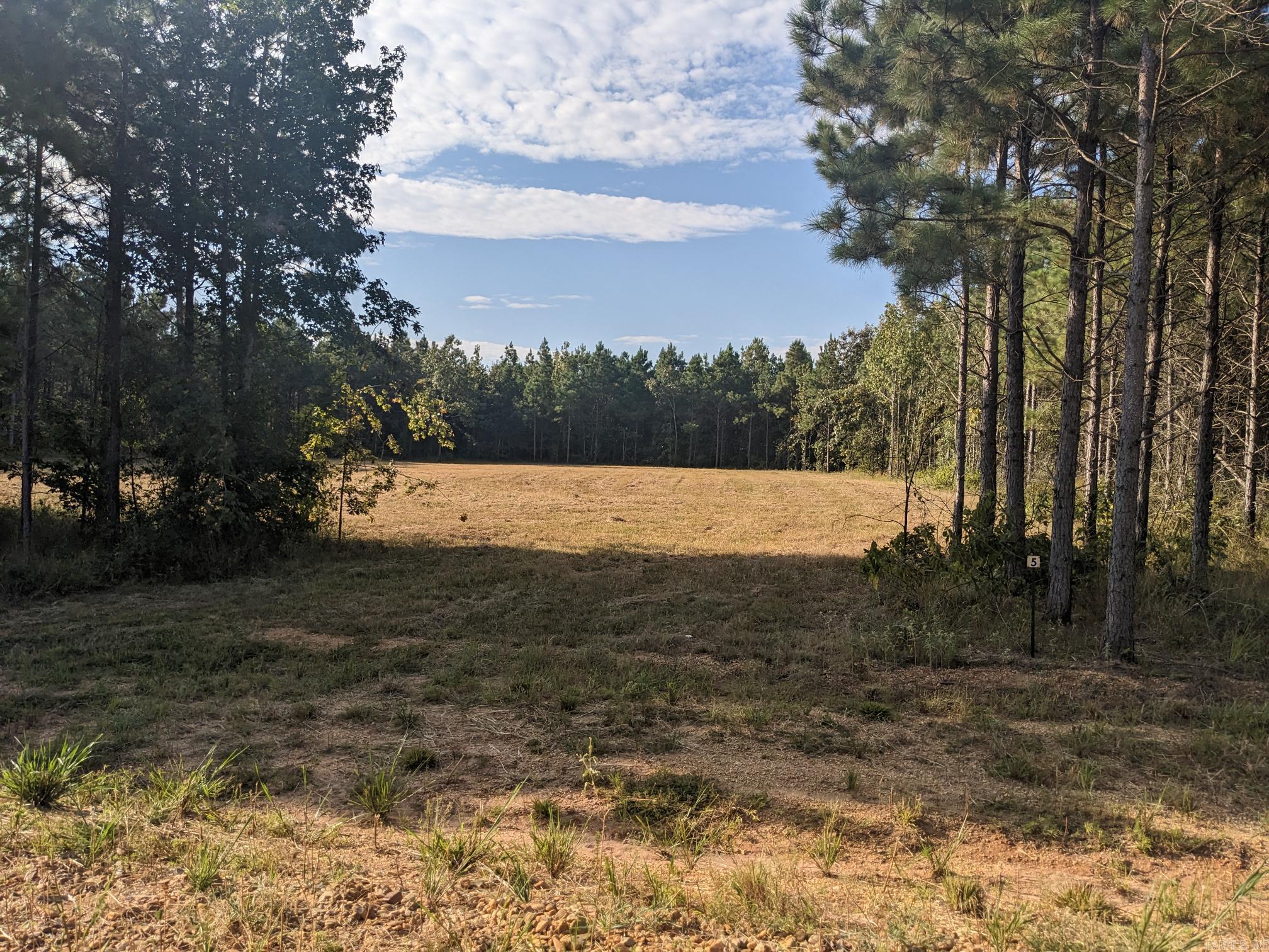 40  Wright  Rison, AR
