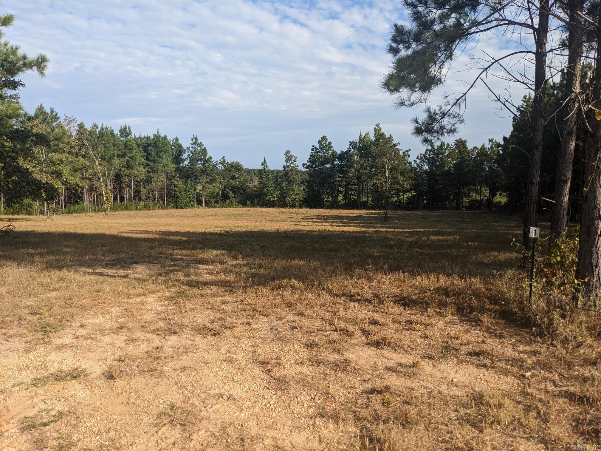 40  Wright  Rison, AR