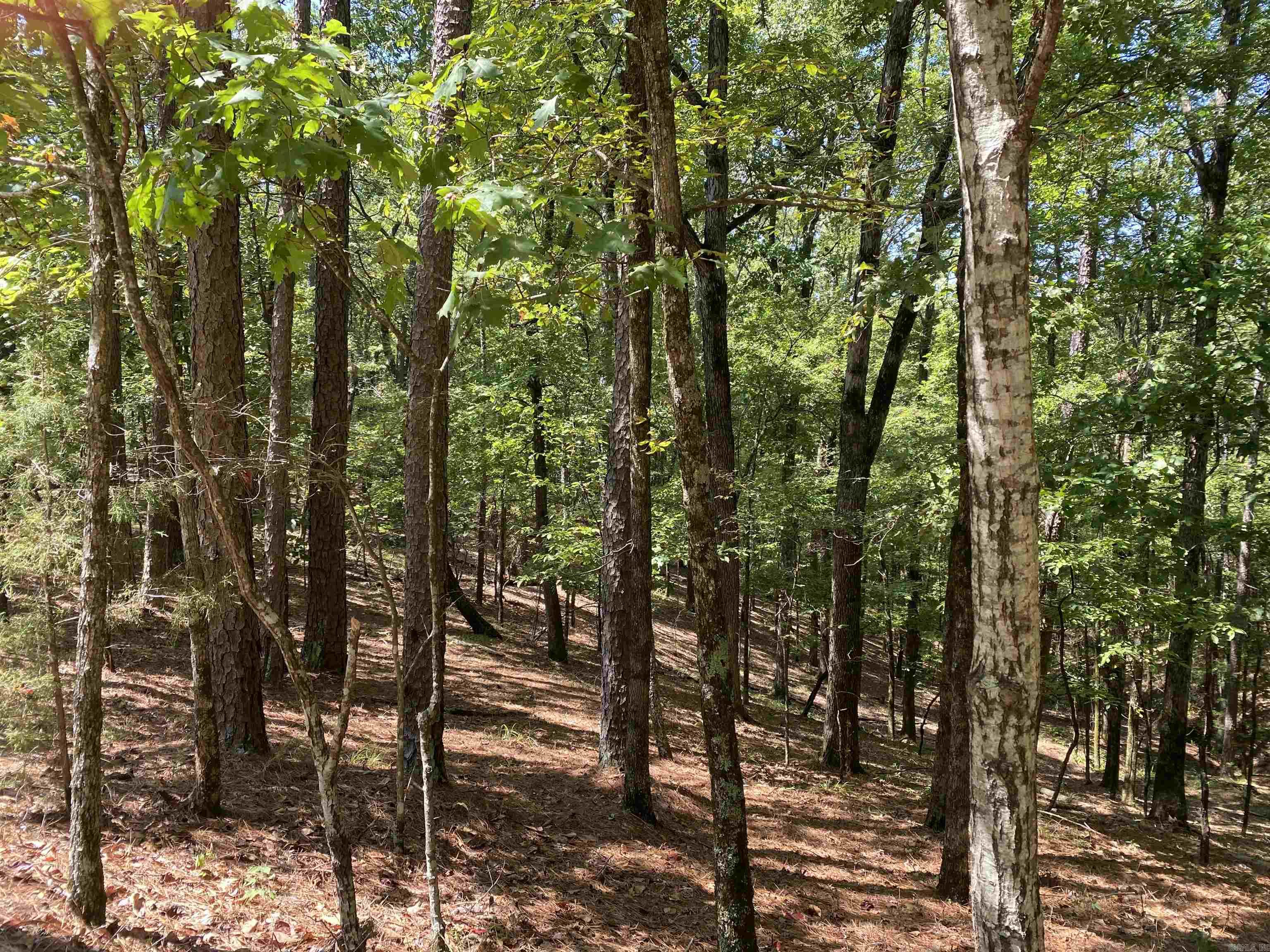 9  Hillside  Mount Ida, AR