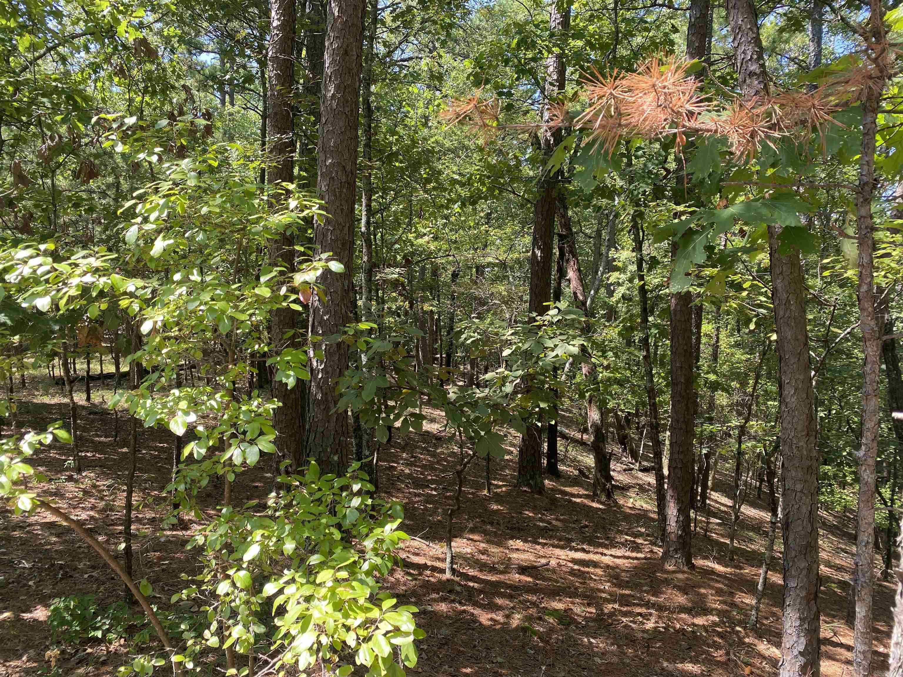 9  Hillside  Mount Ida, AR