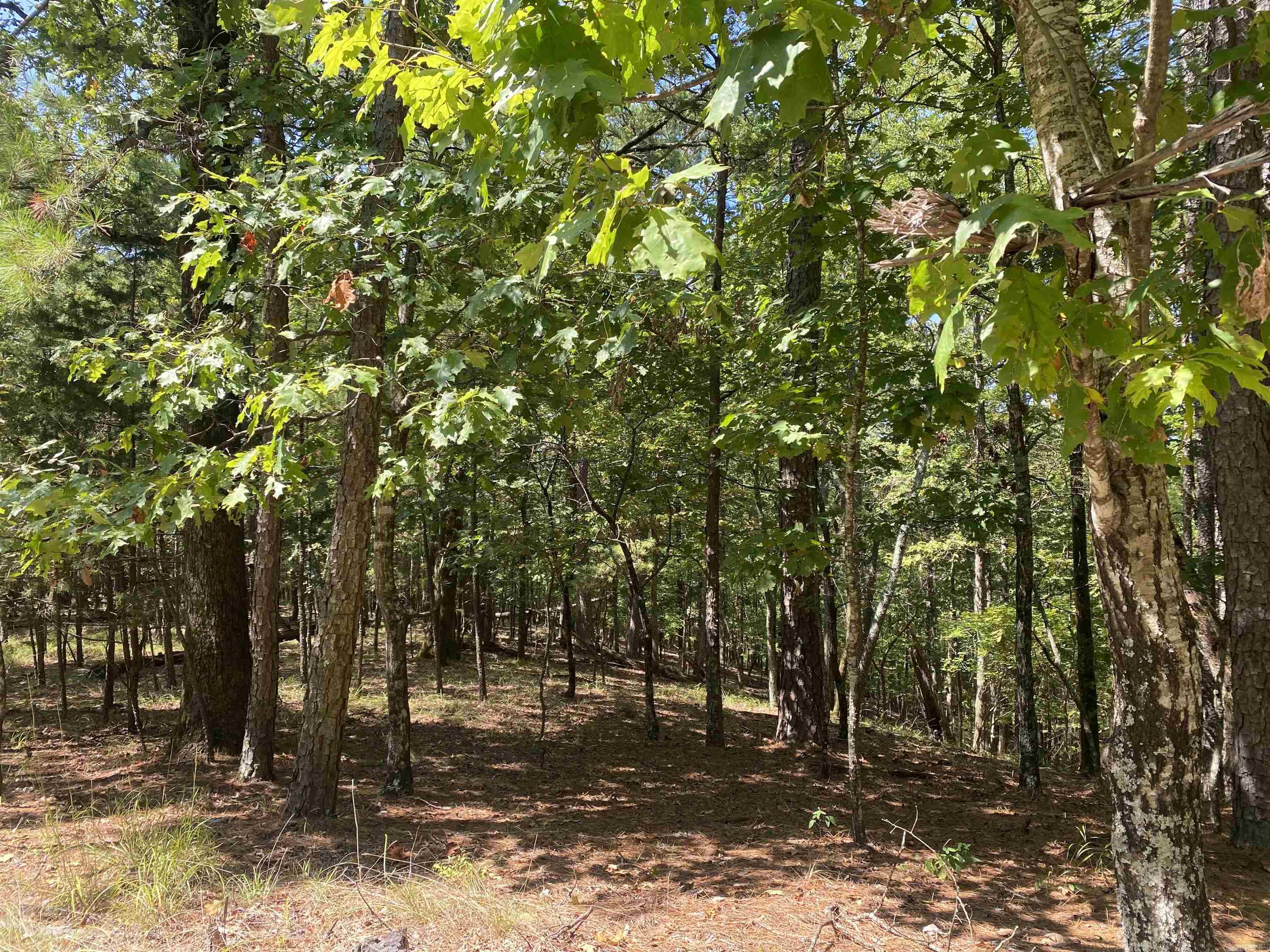 9  Hillside  Mount Ida, AR