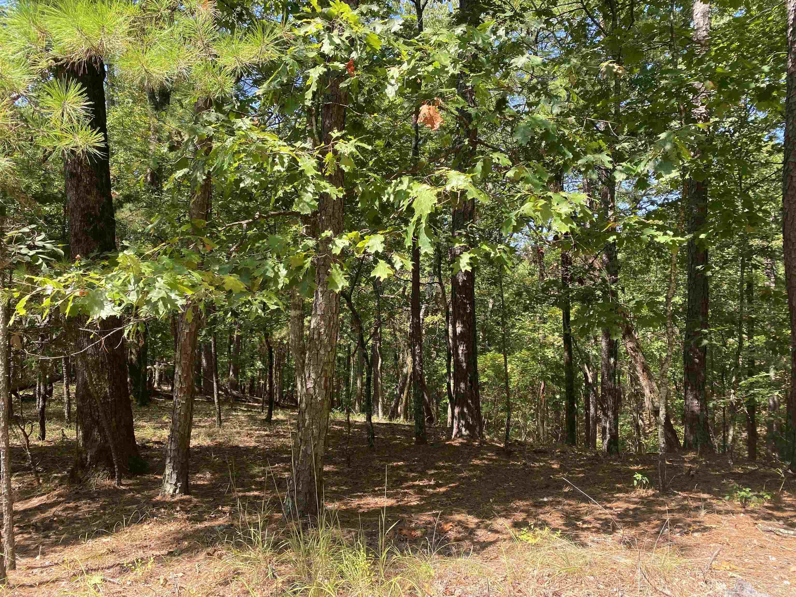 9  Hillside  Mount Ida, AR