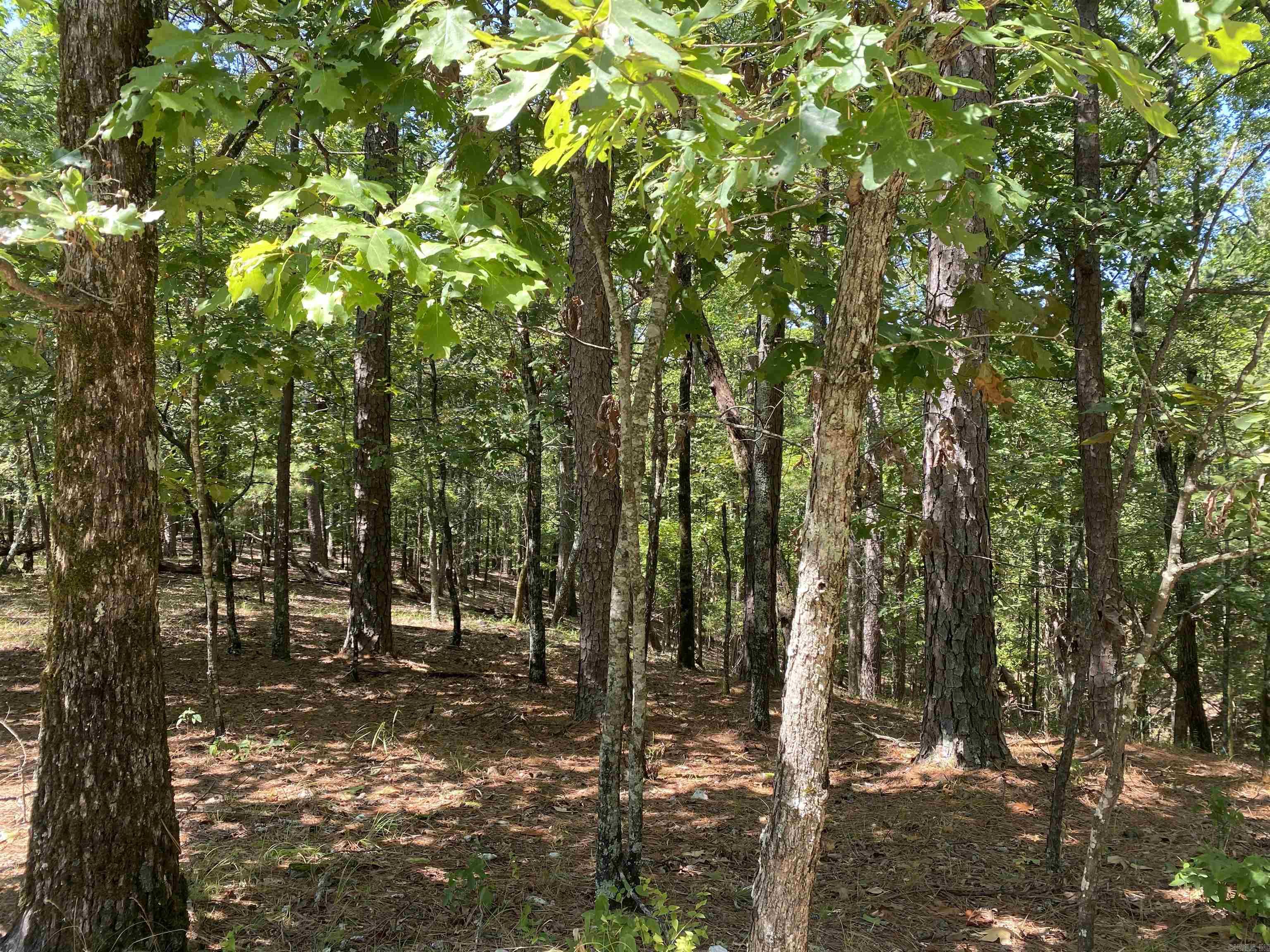 9  Hillside  Mount Ida, AR