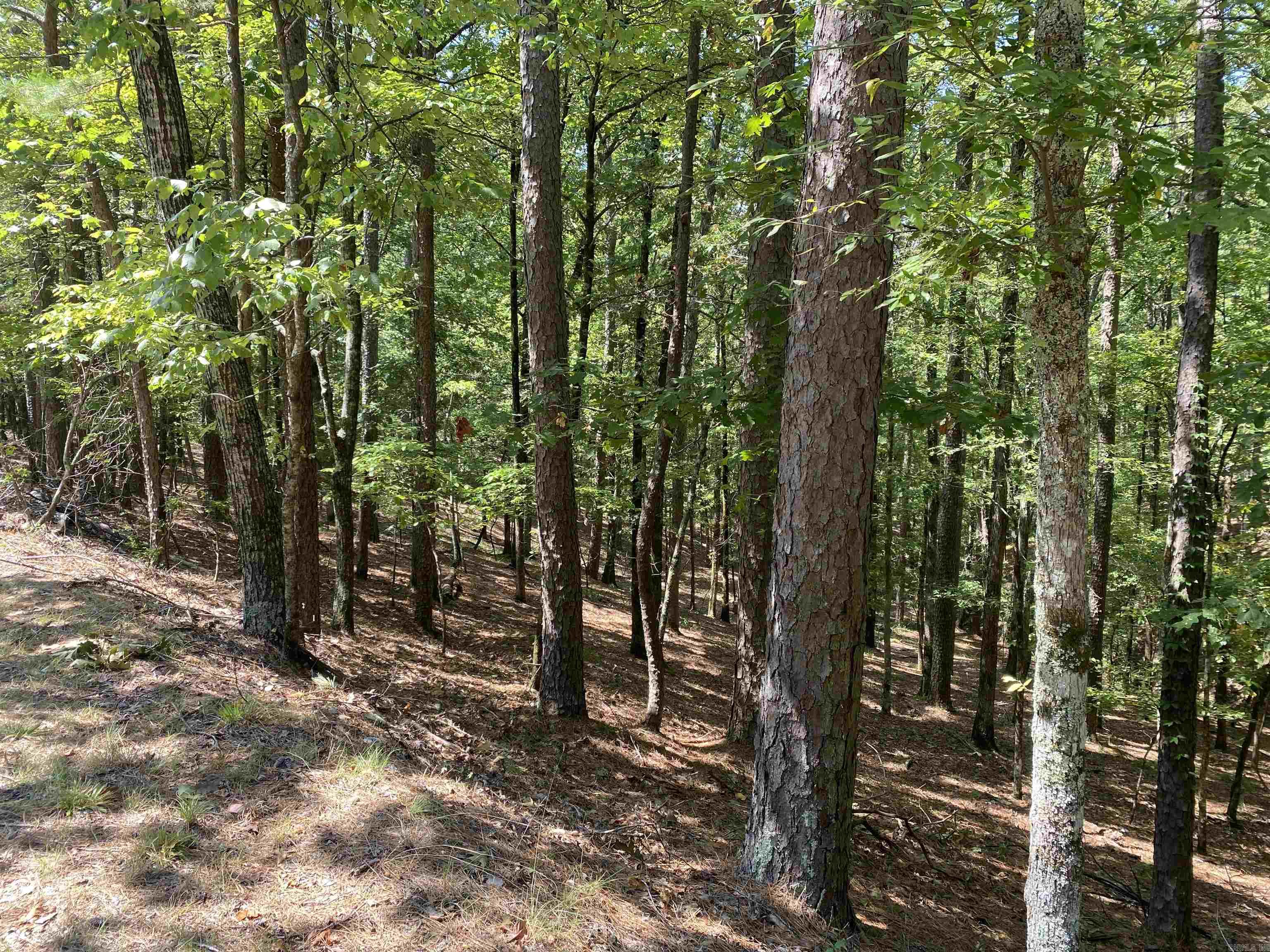 9  Hillside  Mount Ida, AR