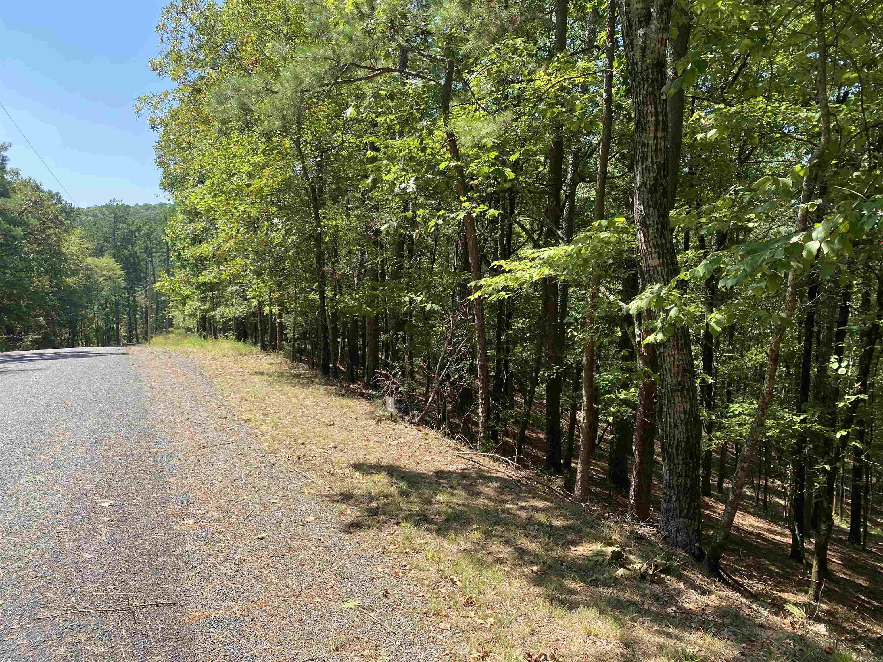 9  Hillside  Mount Ida, AR