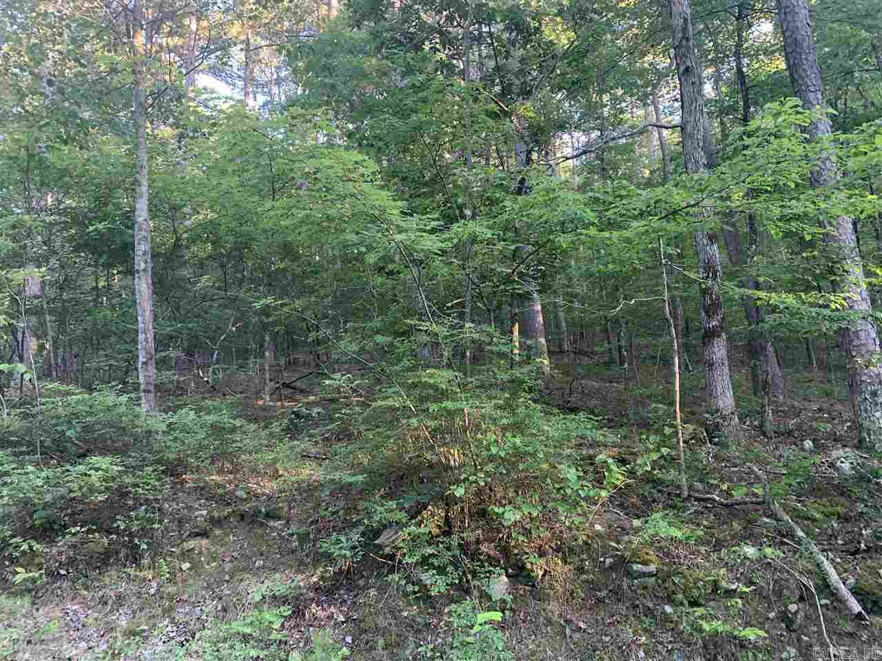 44  Devaca  Hot Springs Village, AR