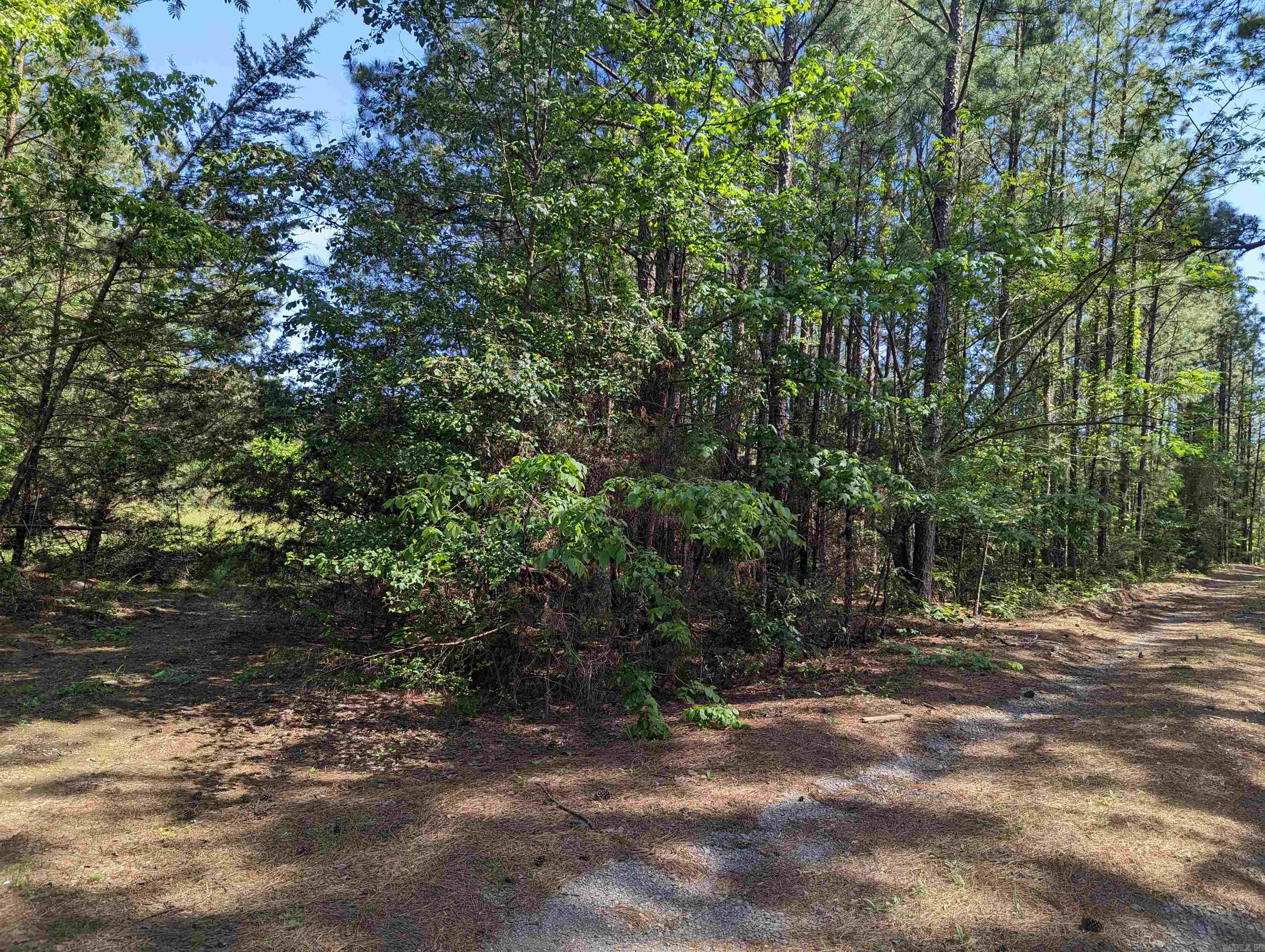 Lot 7 & 8  Fairview  Camden, AR
