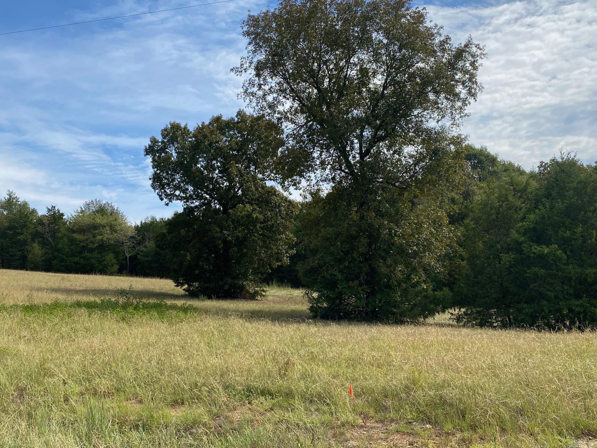 Lot 20  Castlepines Drive  Greenbrier, AR