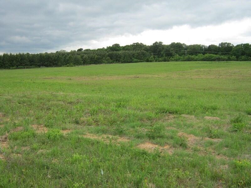 1410  Dunwood Drive  Clarksville, AR