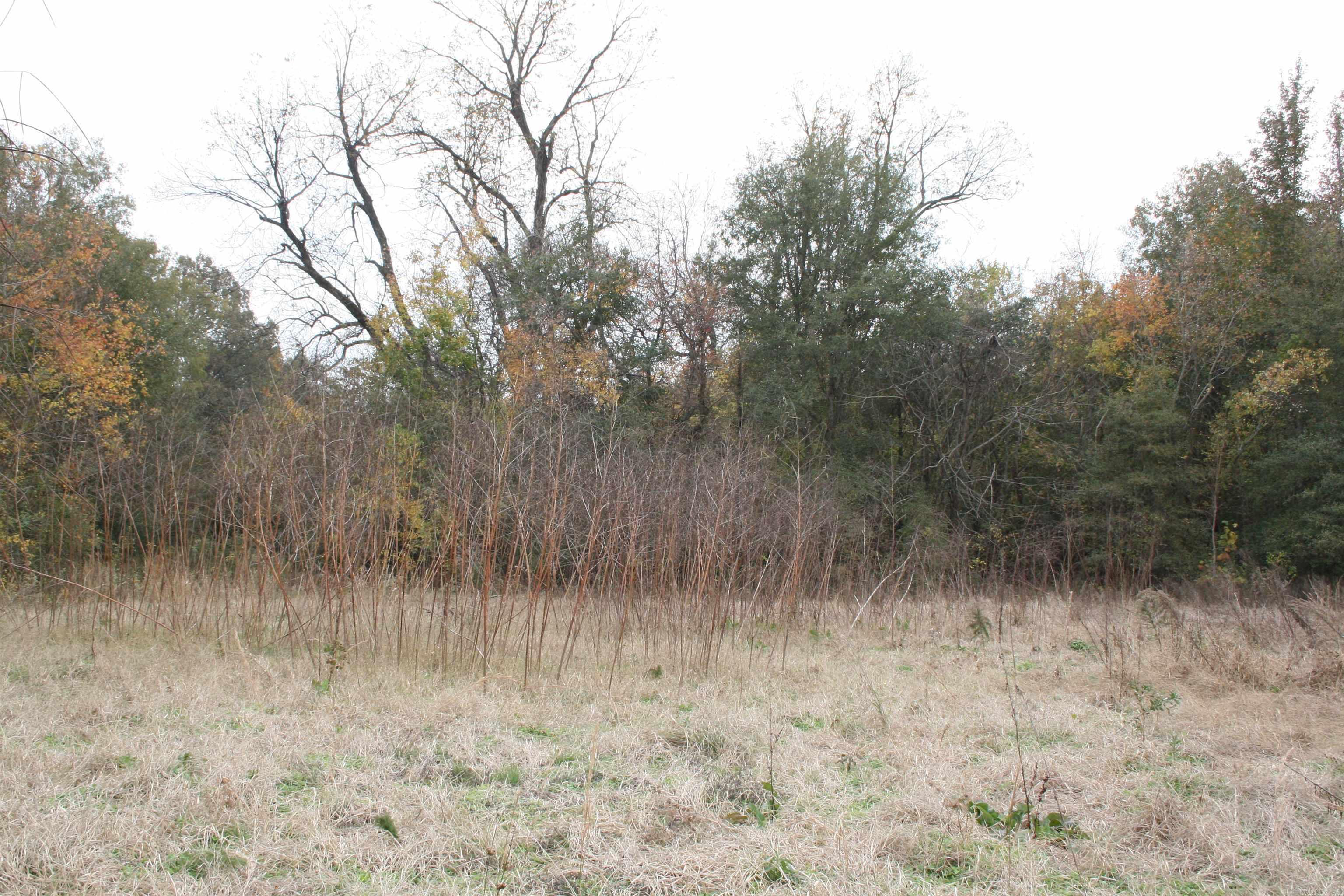   Ashley 209 S.  Parkdale, AR