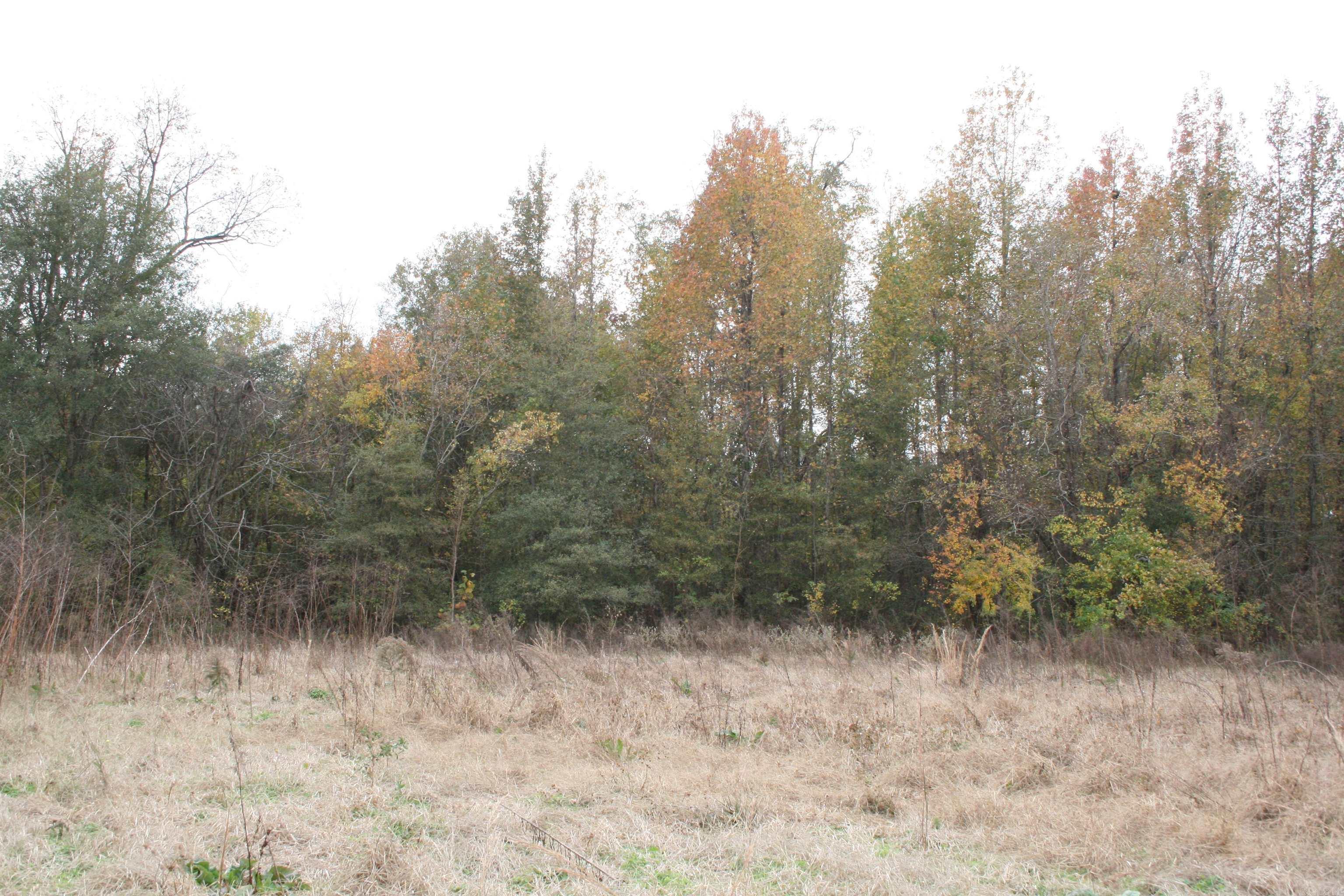   Ashley 209 S.  Parkdale, AR