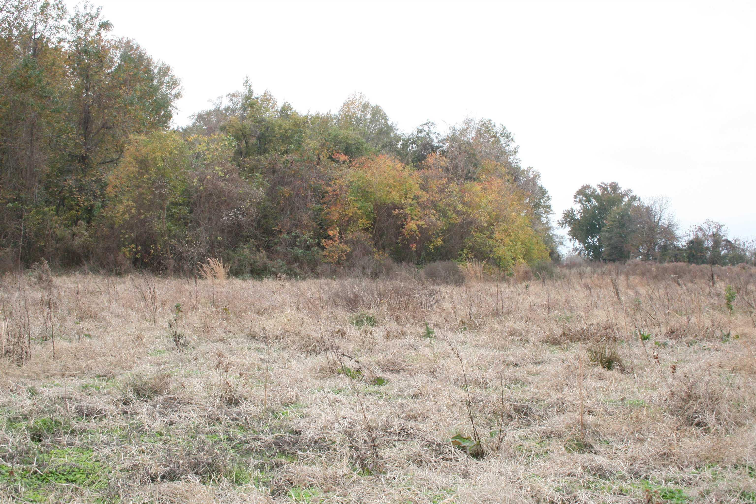   Ashley 209 S.  Parkdale, AR