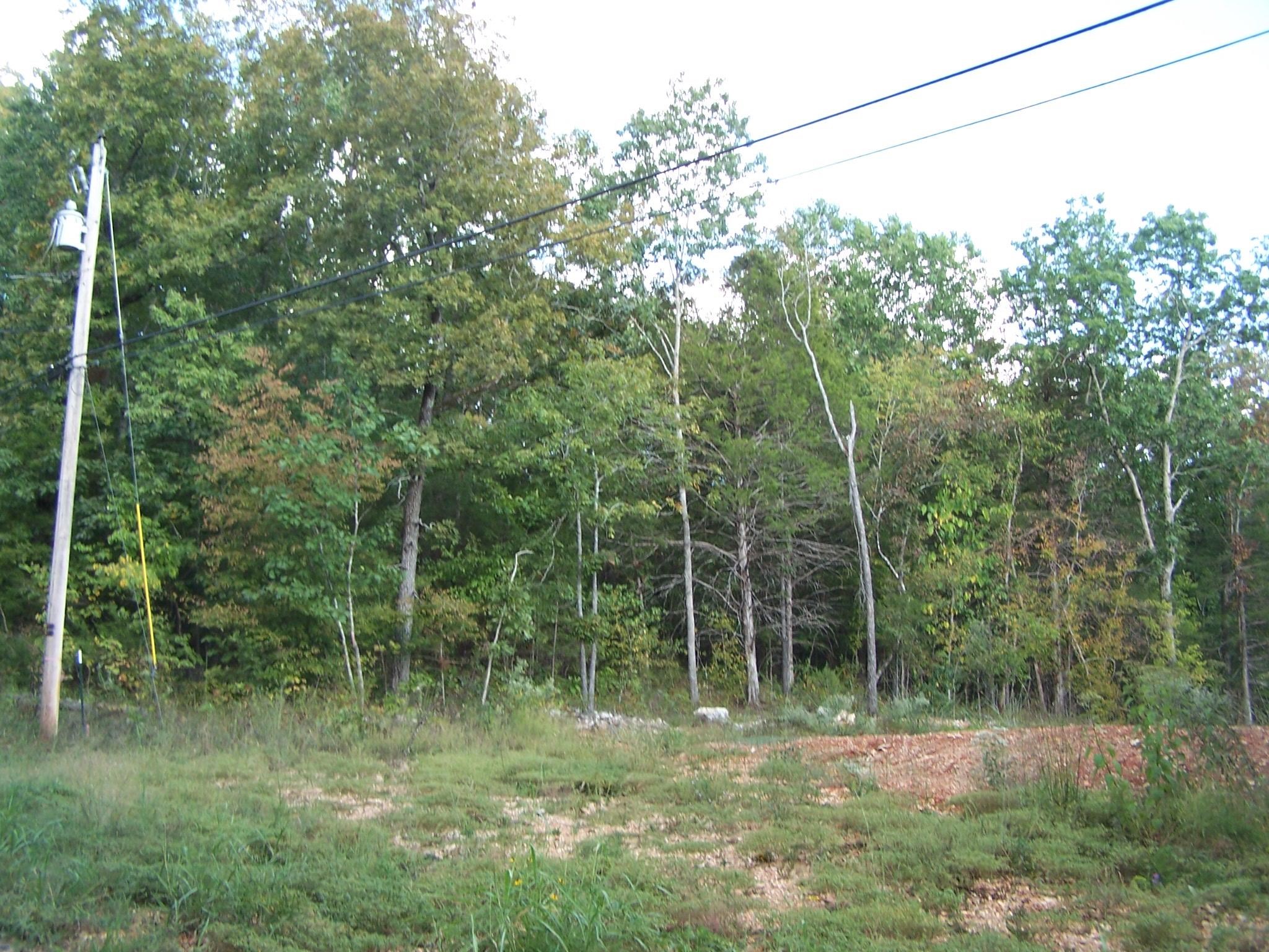 234  Woodlad Hills Rd  Hardy, AR