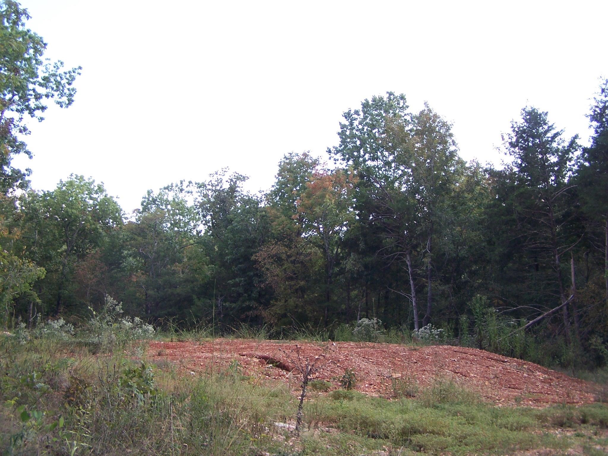 234  Woodlad Hills Rd  Hardy, AR