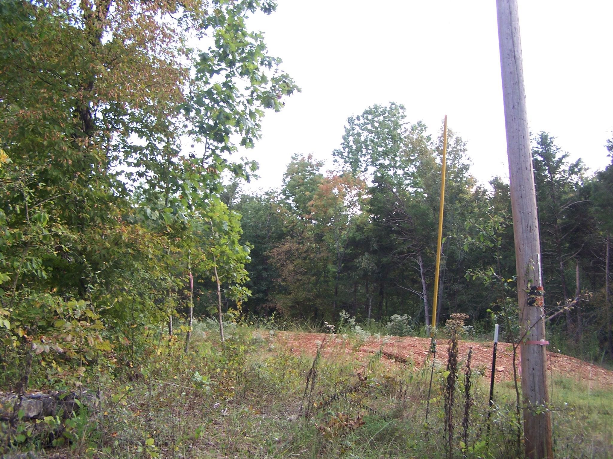 234  Woodlad Hills Rd  Hardy, AR