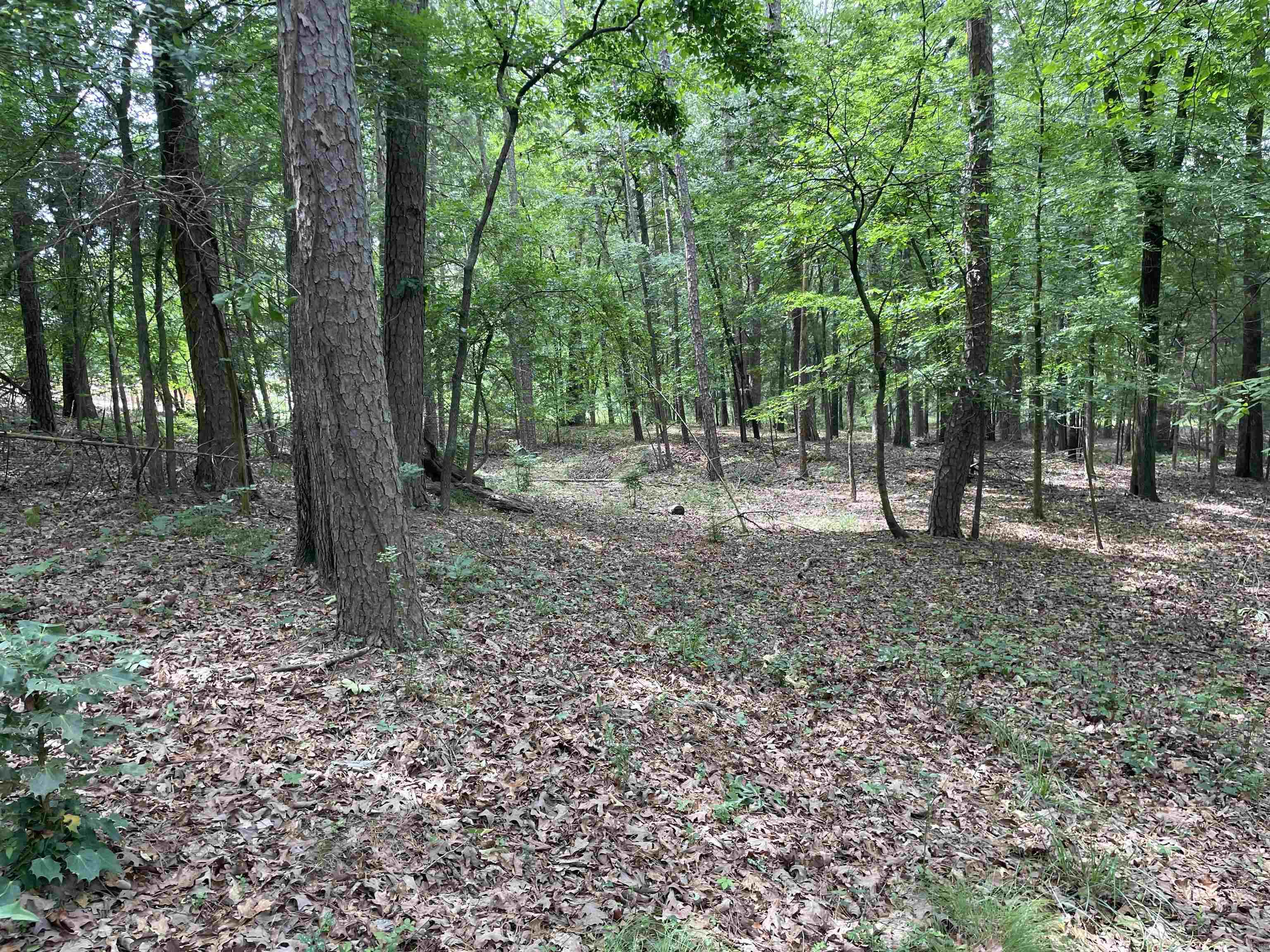 0  Woodland W  Heber Springs, AR