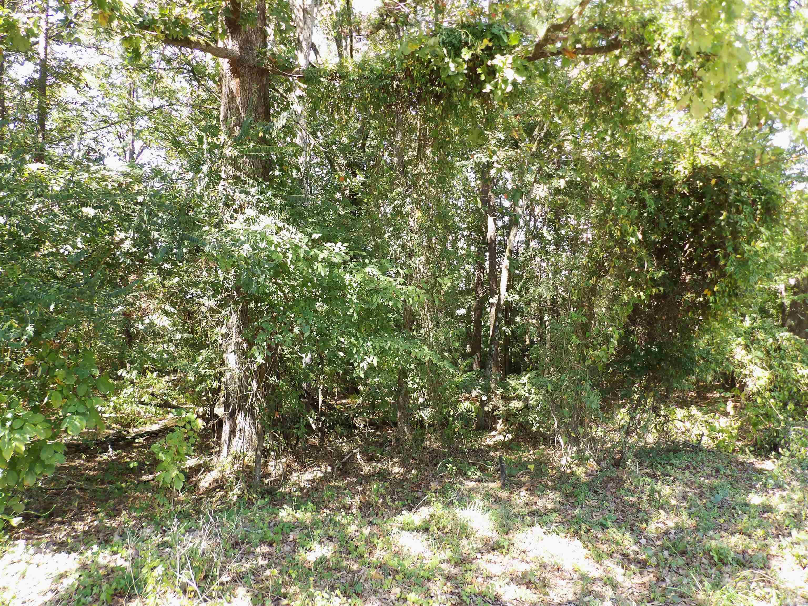 Lot 36  Glenwood  Monticello, AR