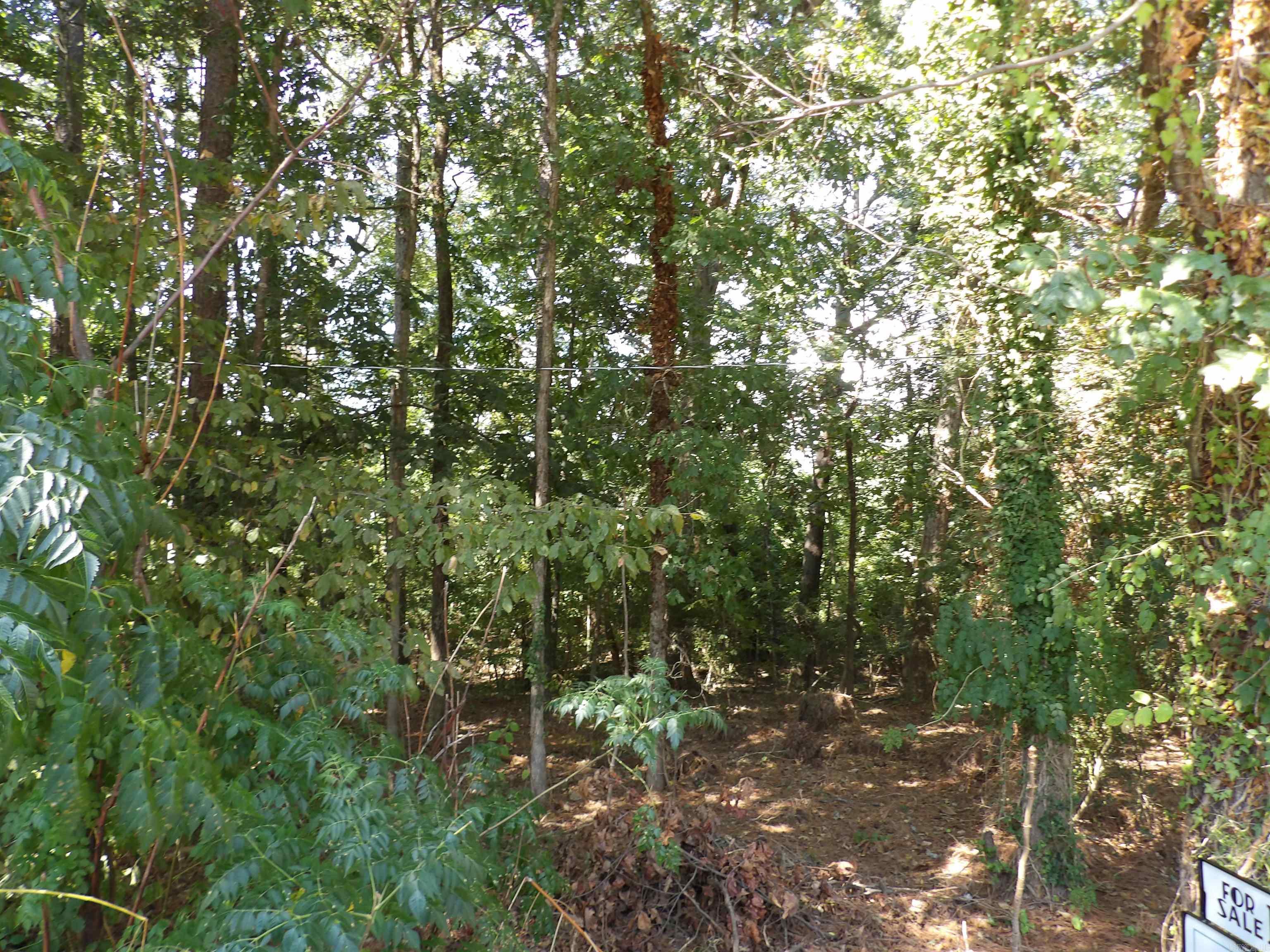 Lot 39  Glenwood  Monticello, AR
