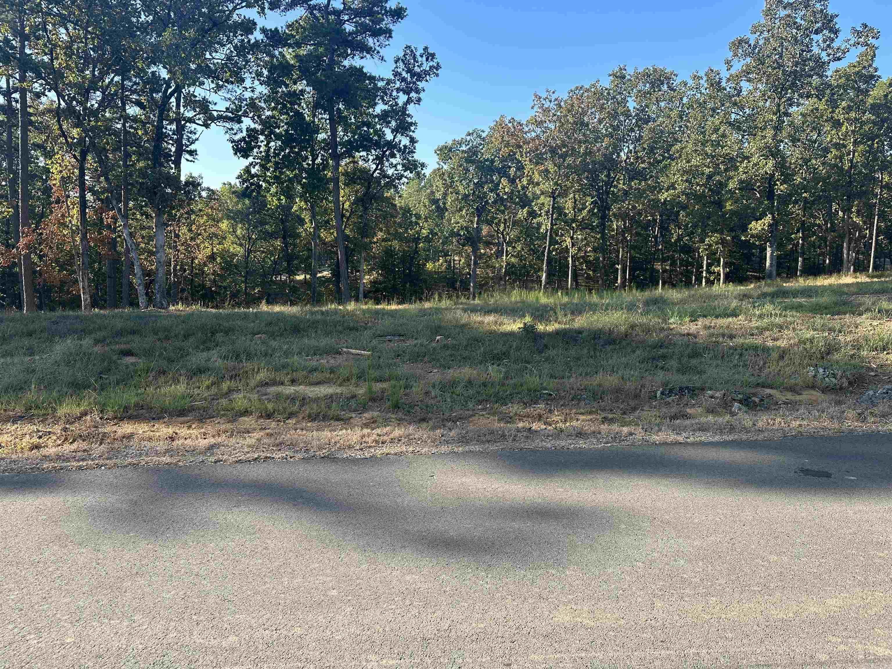 2925  Orchard View Lot 16 Orchard Hill Subdivision Phase II Conway, AR