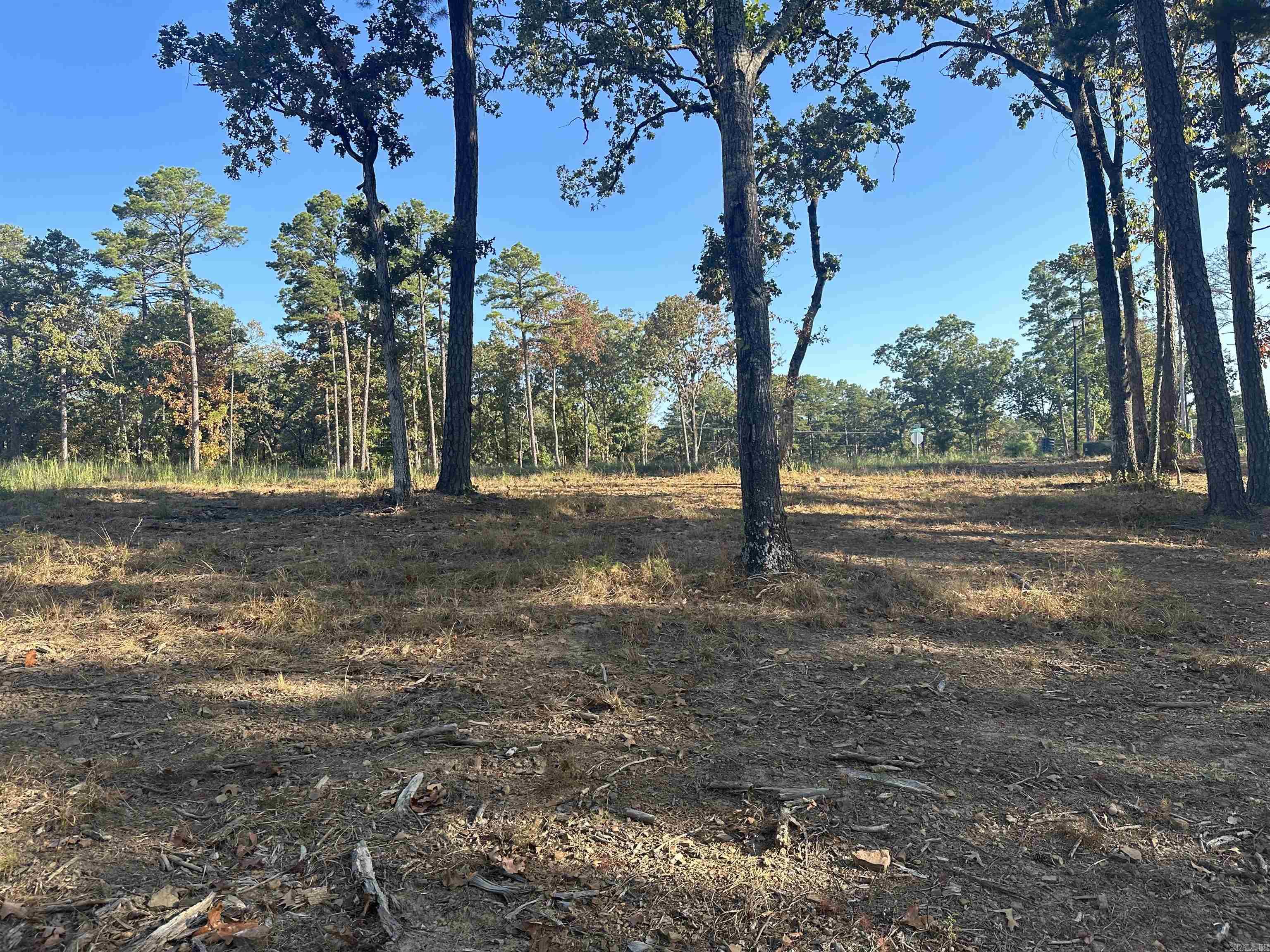 2925  Orchard View Lot 16 Orchard Hill Subdivision Phase II Conway, AR